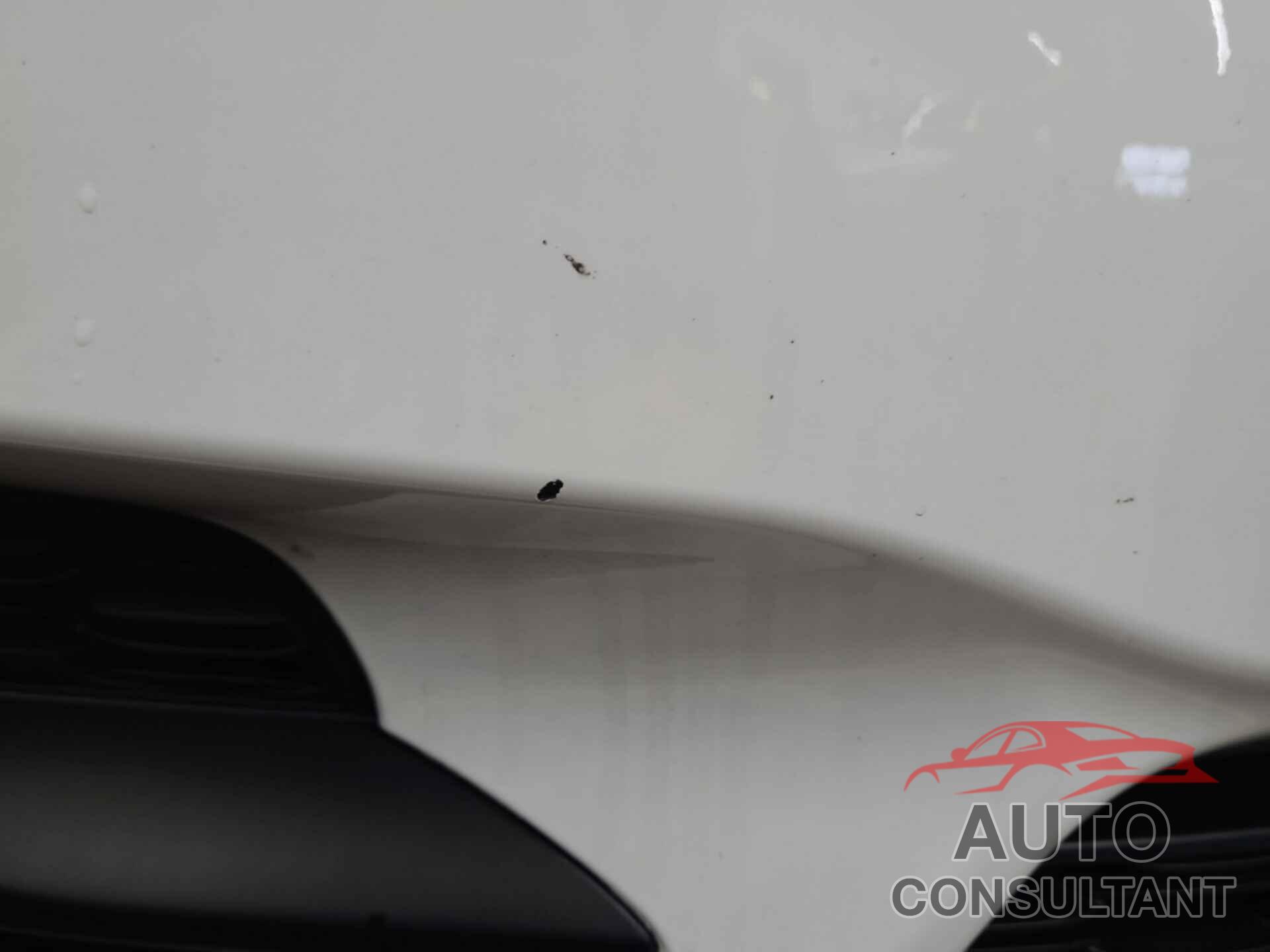 JEEP GRAND CHEROKEE 2023 - 1C4RJHAG3PC538800