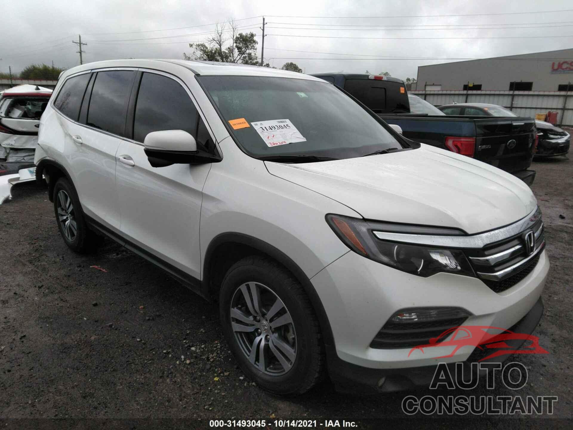 HONDA PILOT 2016 - 5FNYF6H71GB119189