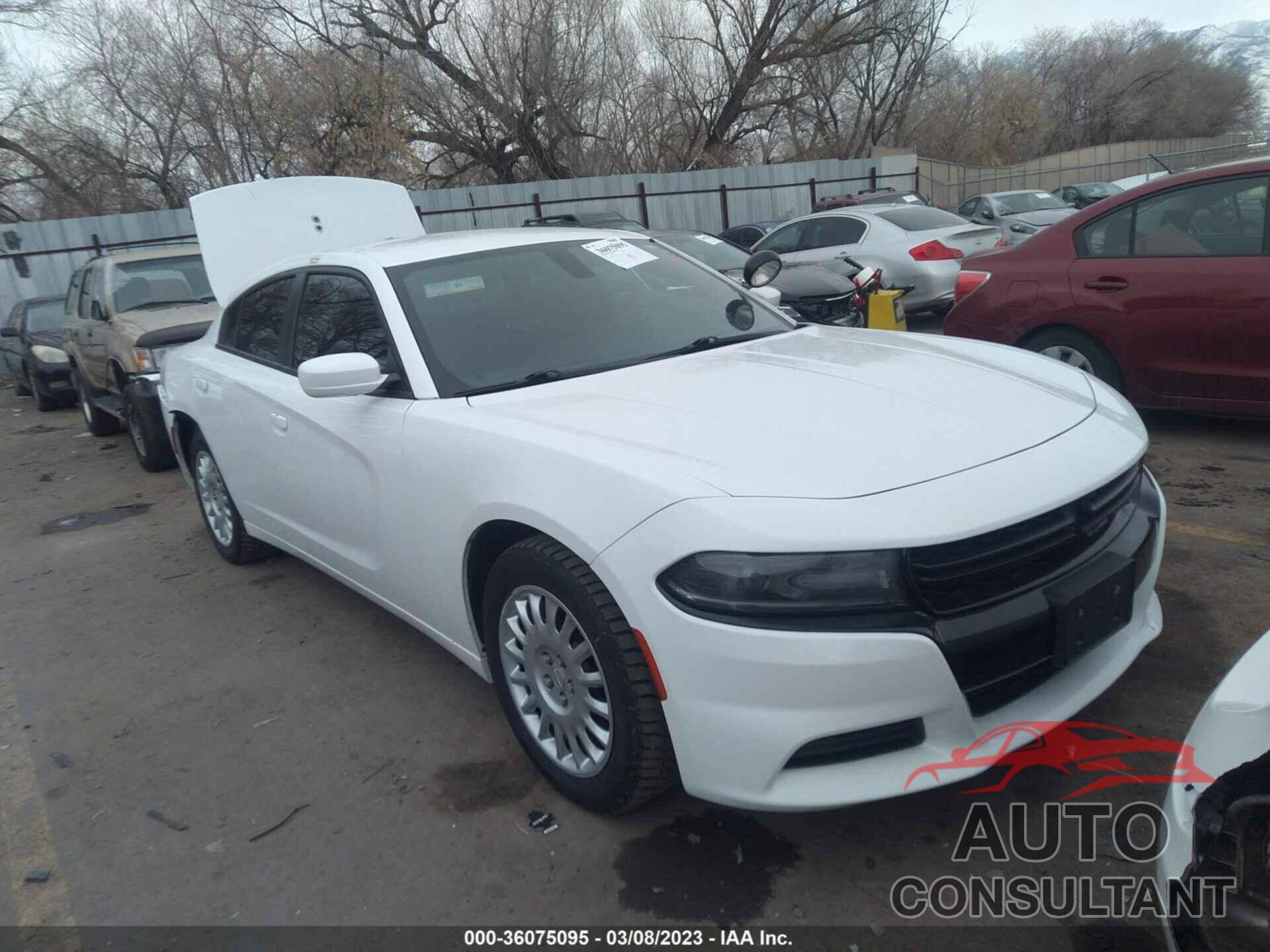 DODGE CHARGER 2019 - 2C3CDXKT7KH733019