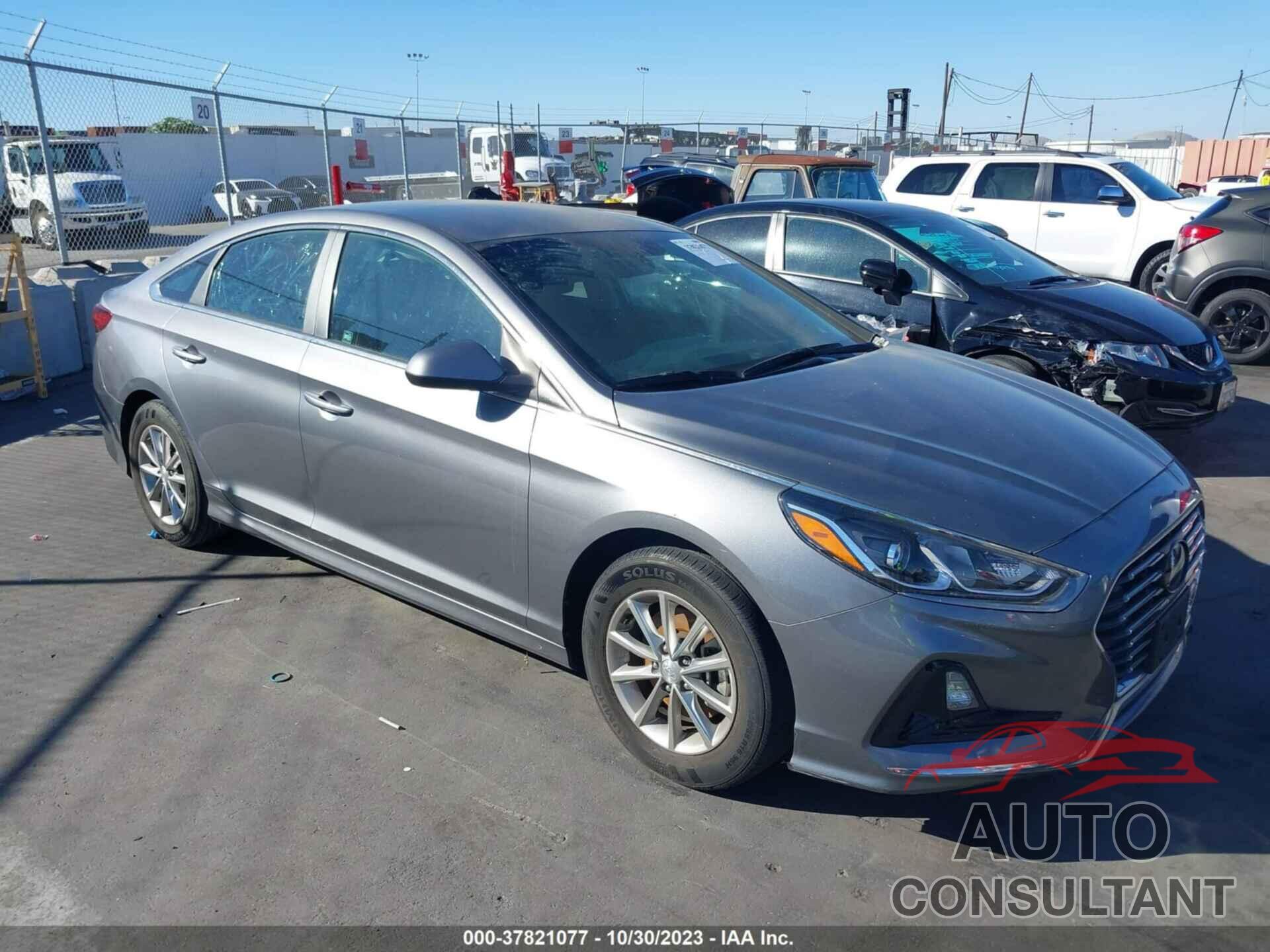 HYUNDAI SONATA 2019 - 5NPE24AF1KH763726