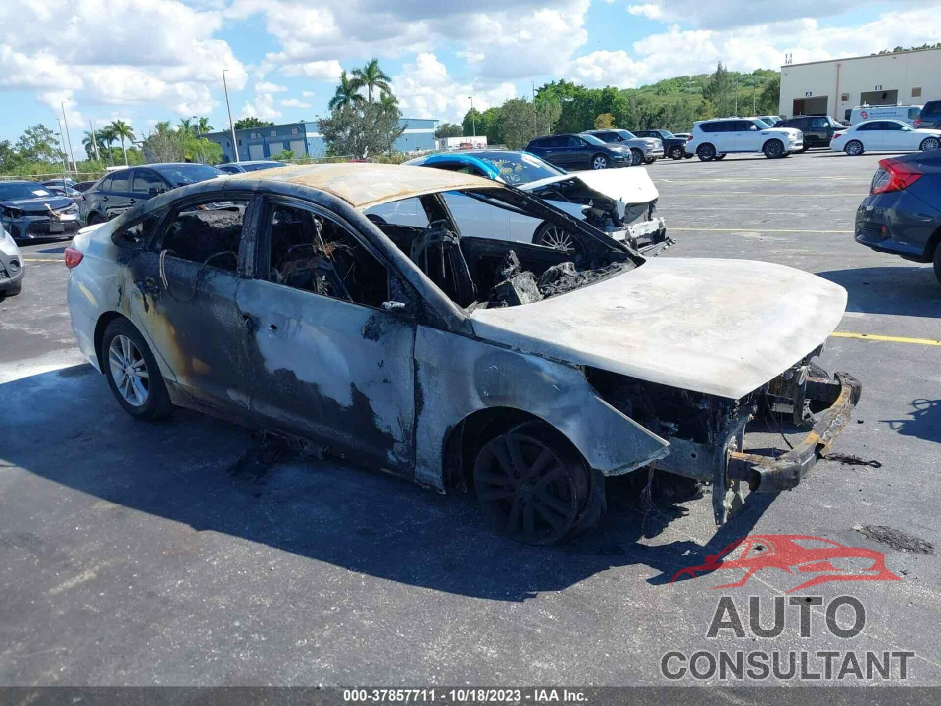 HYUNDAI SONATA 2017 - 5NPE24AF6HH568309
