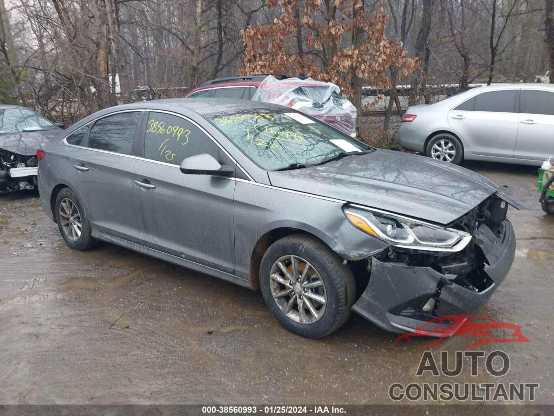 HYUNDAI SONATA 2018 - 5NPE24AF8JH700203