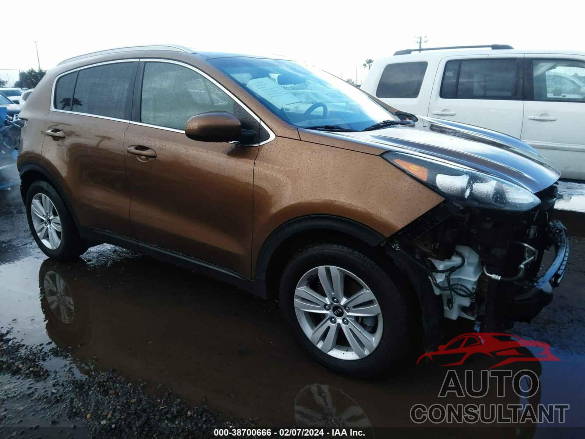 KIA SPORTAGE 2019 - KNDPM3AC2K7612238