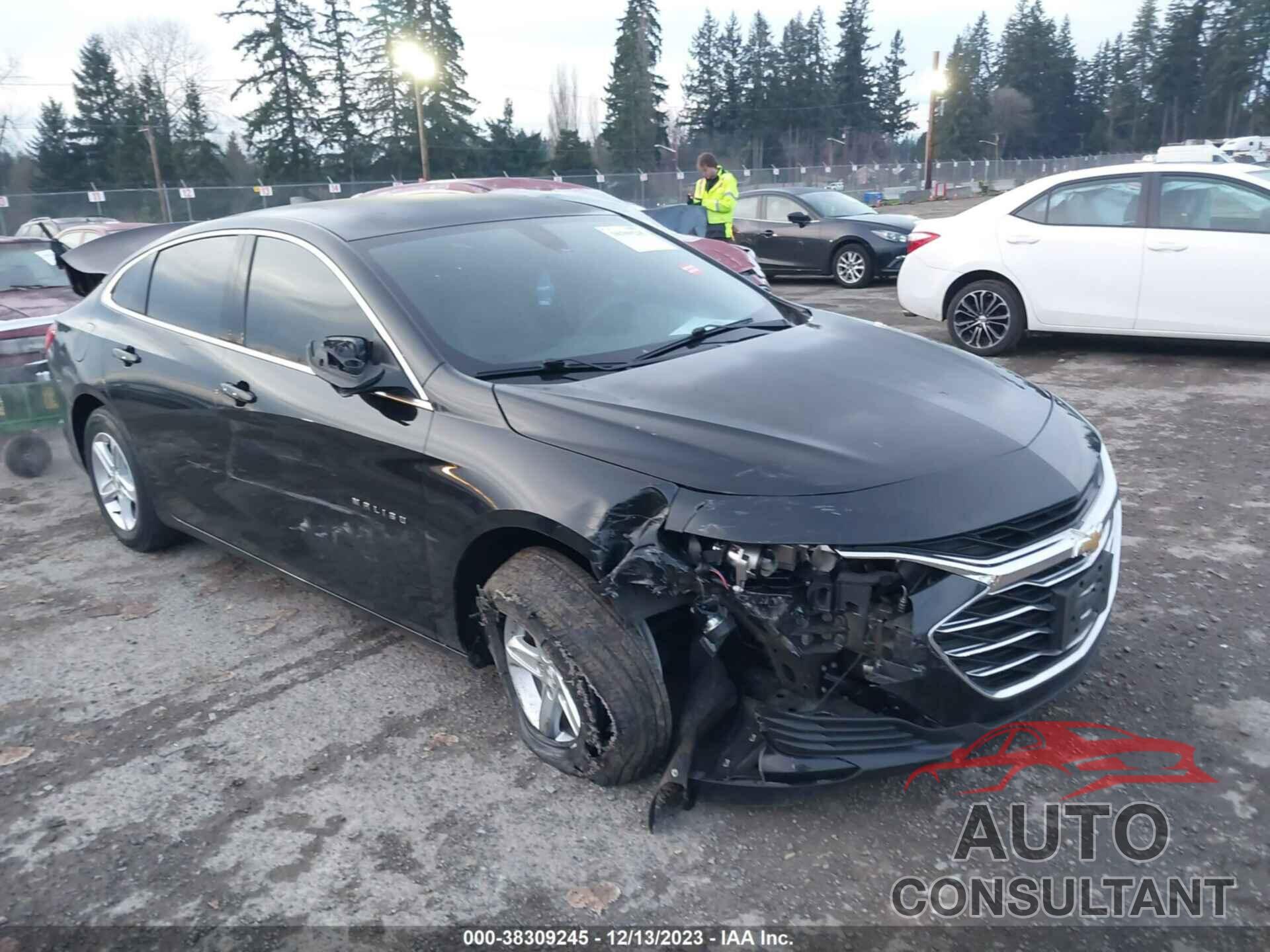 CHEVROLET MALIBU 2019 - 1G1ZB5ST0KF227543
