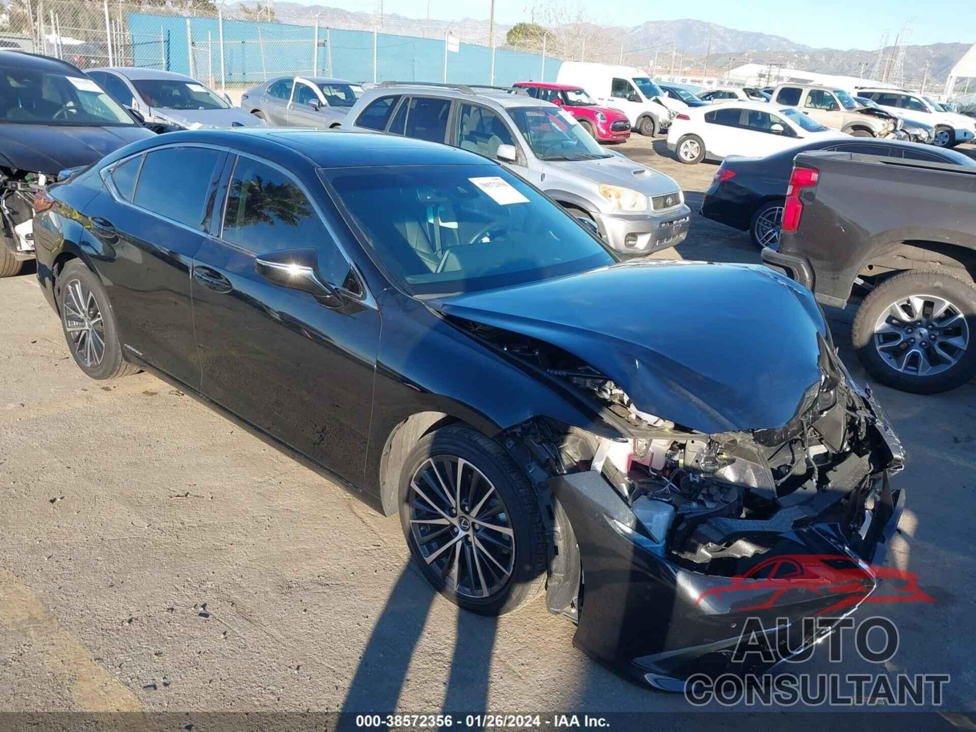 LEXUS ES 300H 2022 - 58ADA1C12NU022529