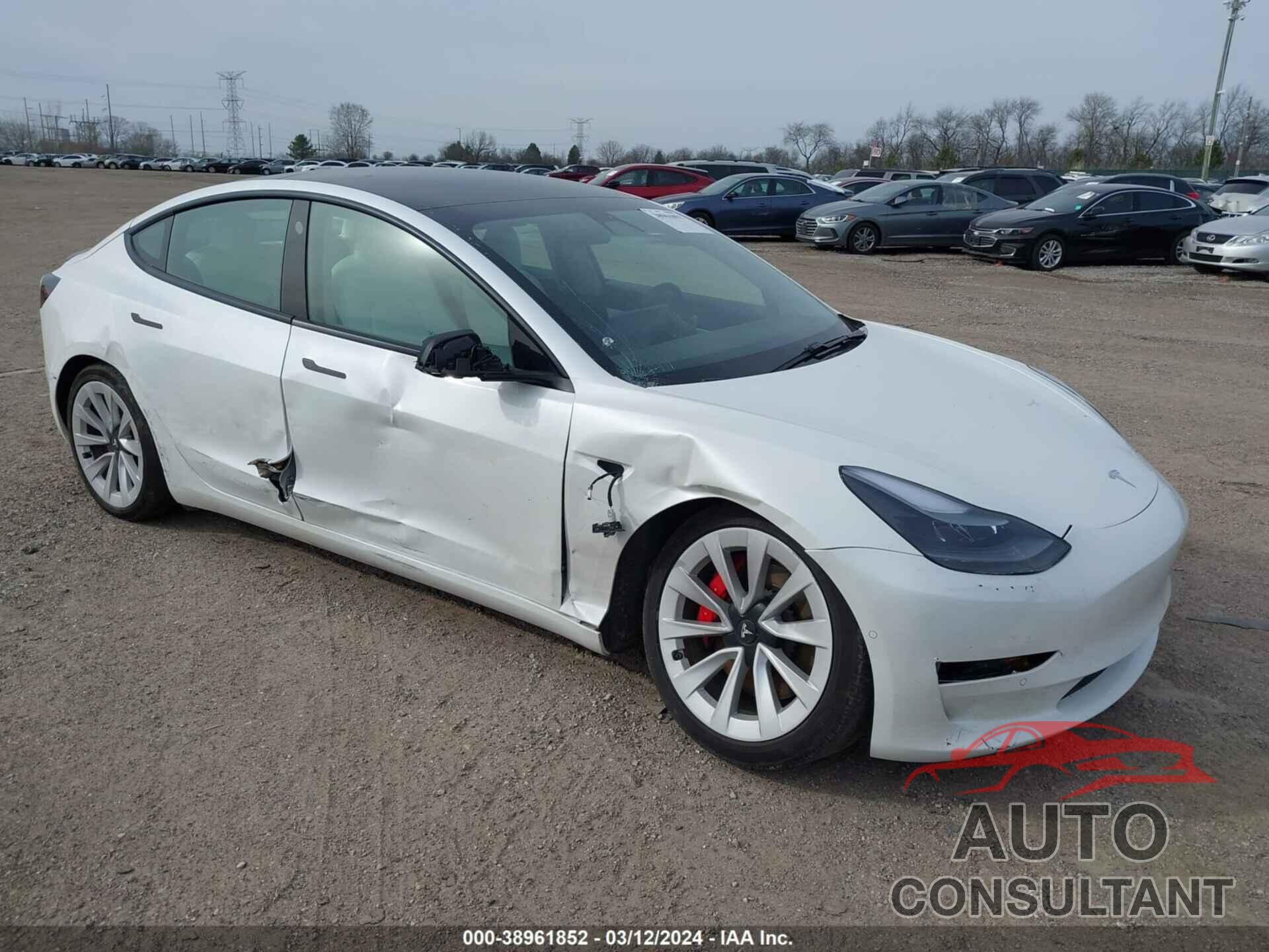 TESLA MODEL 3 2021 - 5YJ3E1ECXMF925576