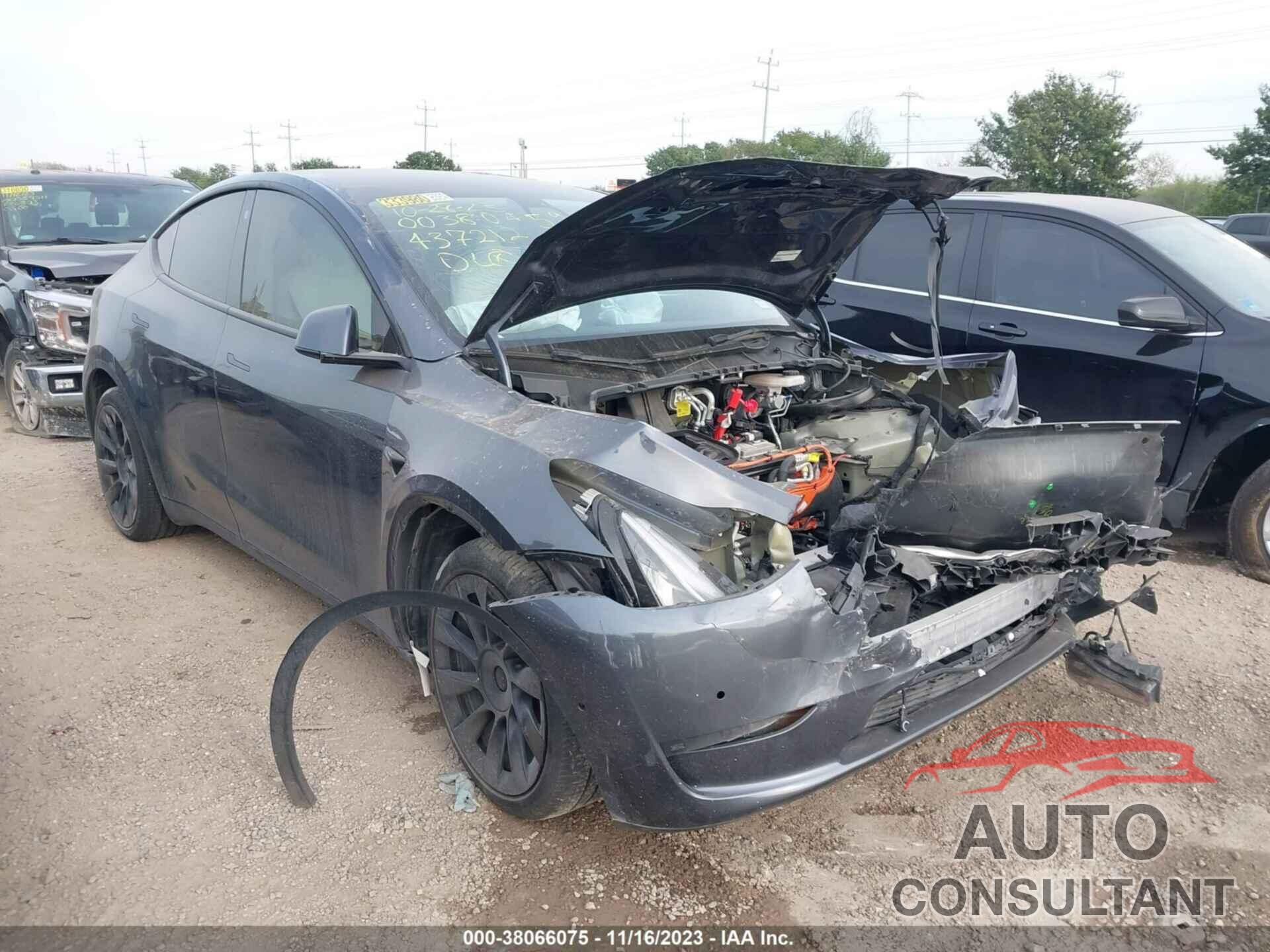 TESLA MODEL Y 2022 - 7SAYGDEE9NF437212