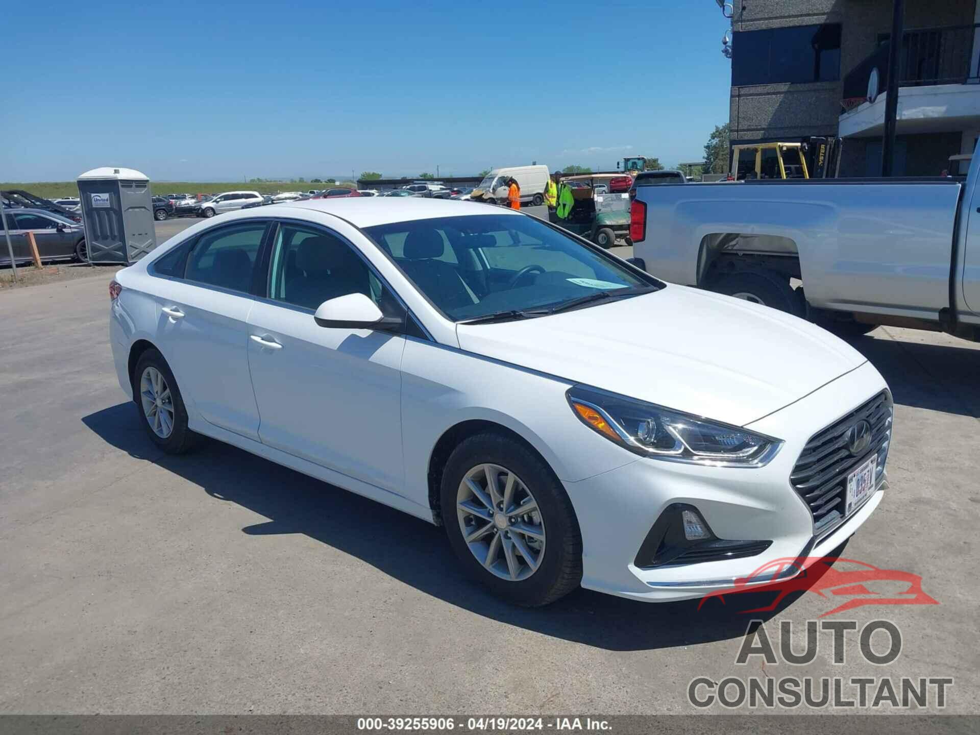 HYUNDAI SONATA 2019 - 5NPE24AAXKH774616
