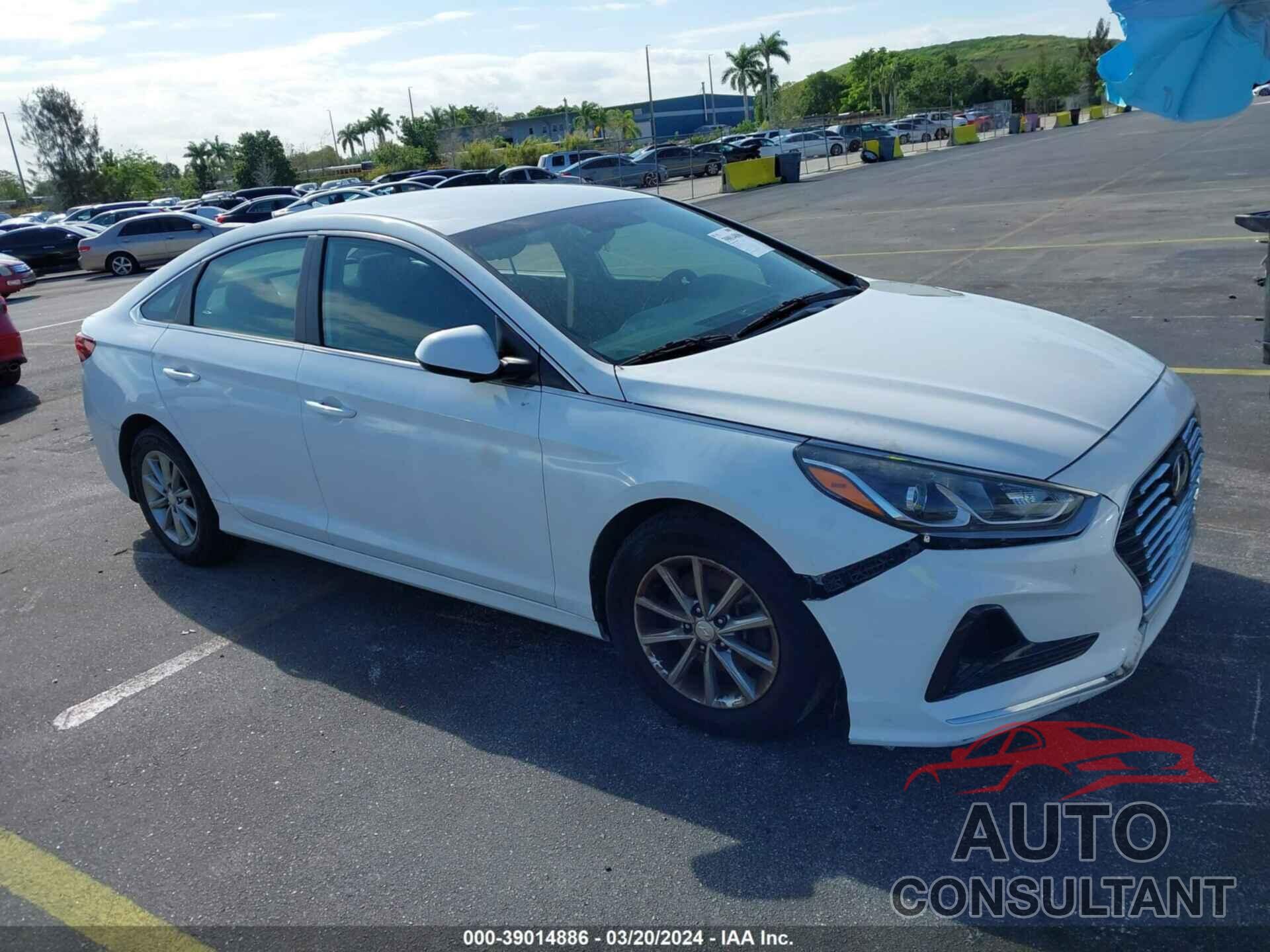 HYUNDAI SONATA 2019 - 5NPE24AF2KH761936