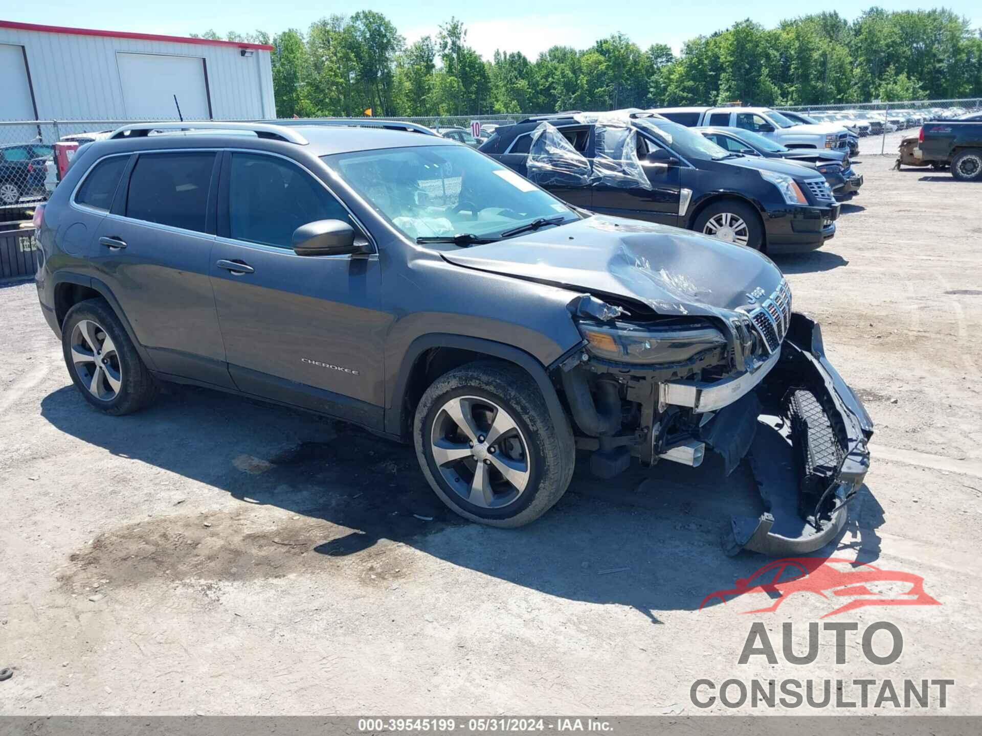 JEEP CHEROKEE 2019 - 1C4PJMDX1KD107550