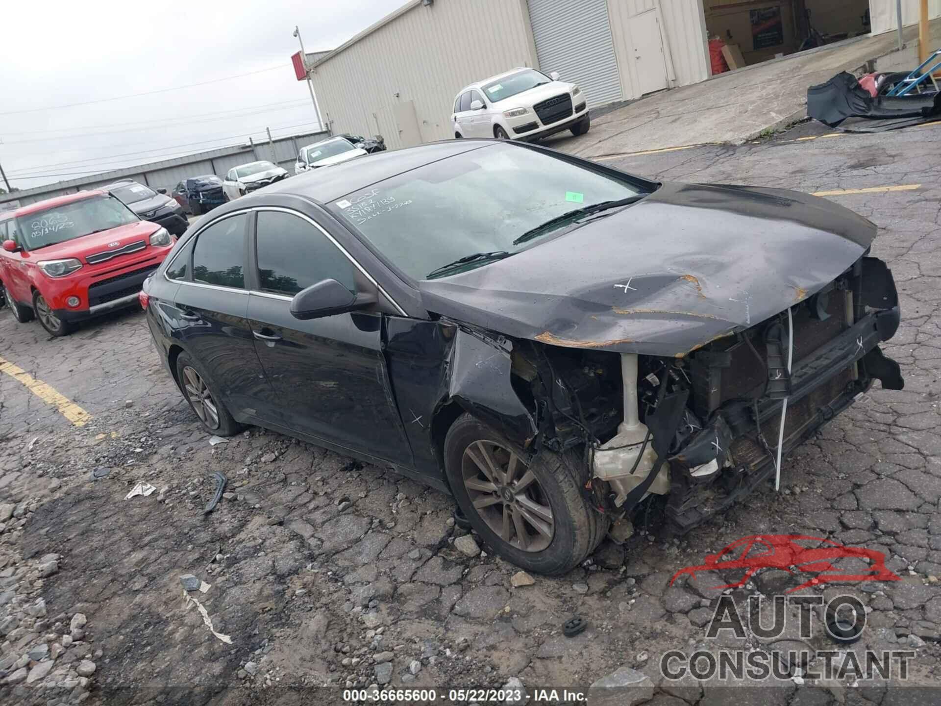 HYUNDAI SONATA 2016 - 5NPE24AF4GH379799