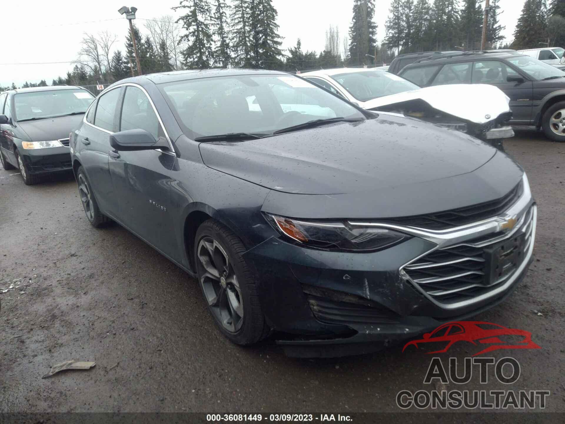 CHEVROLET MALIBU 2021 - 1G1ZD5ST7MF037395