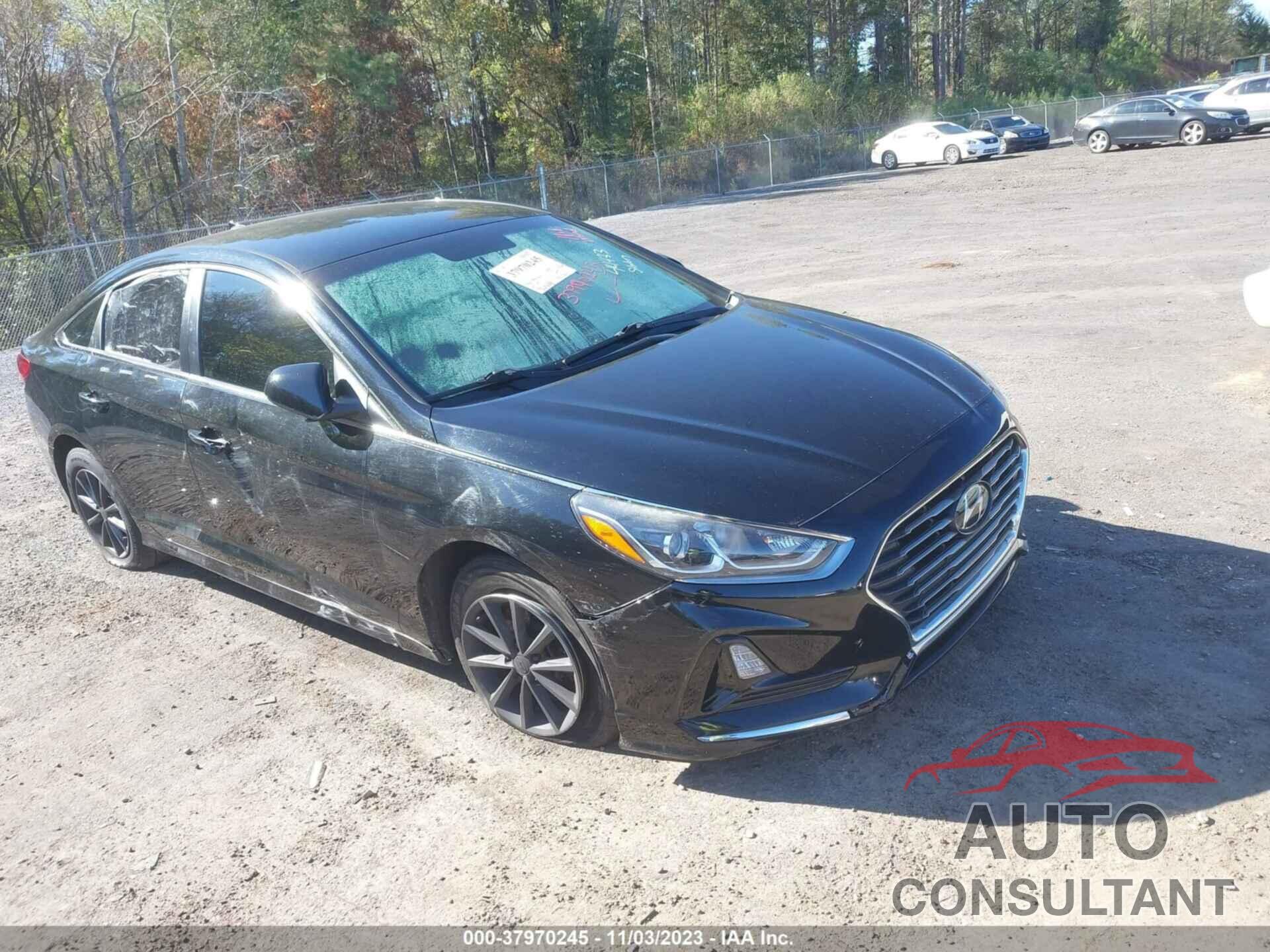HYUNDAI SONATA 2019 - 5NPE24AF9KH770505