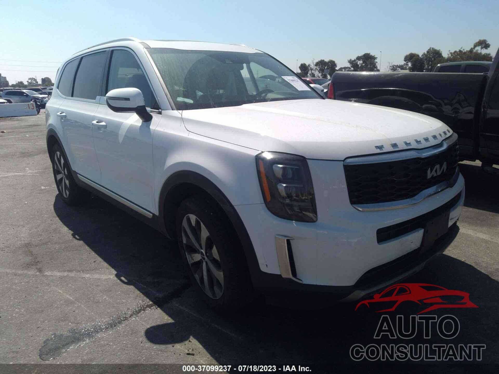 KIA TELLURIDE 2022 - 5XYP34HC3NG312309