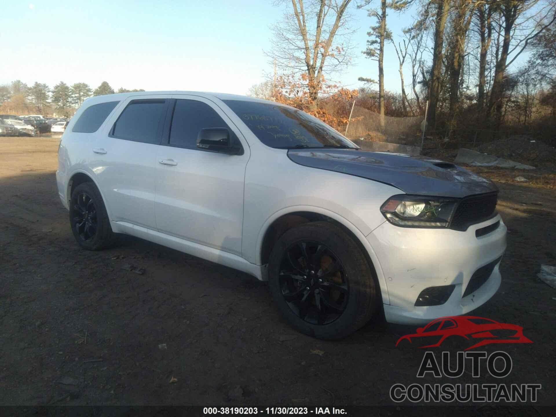 DODGE DURANGO 2019 - 1C4SDJCT1KC691906