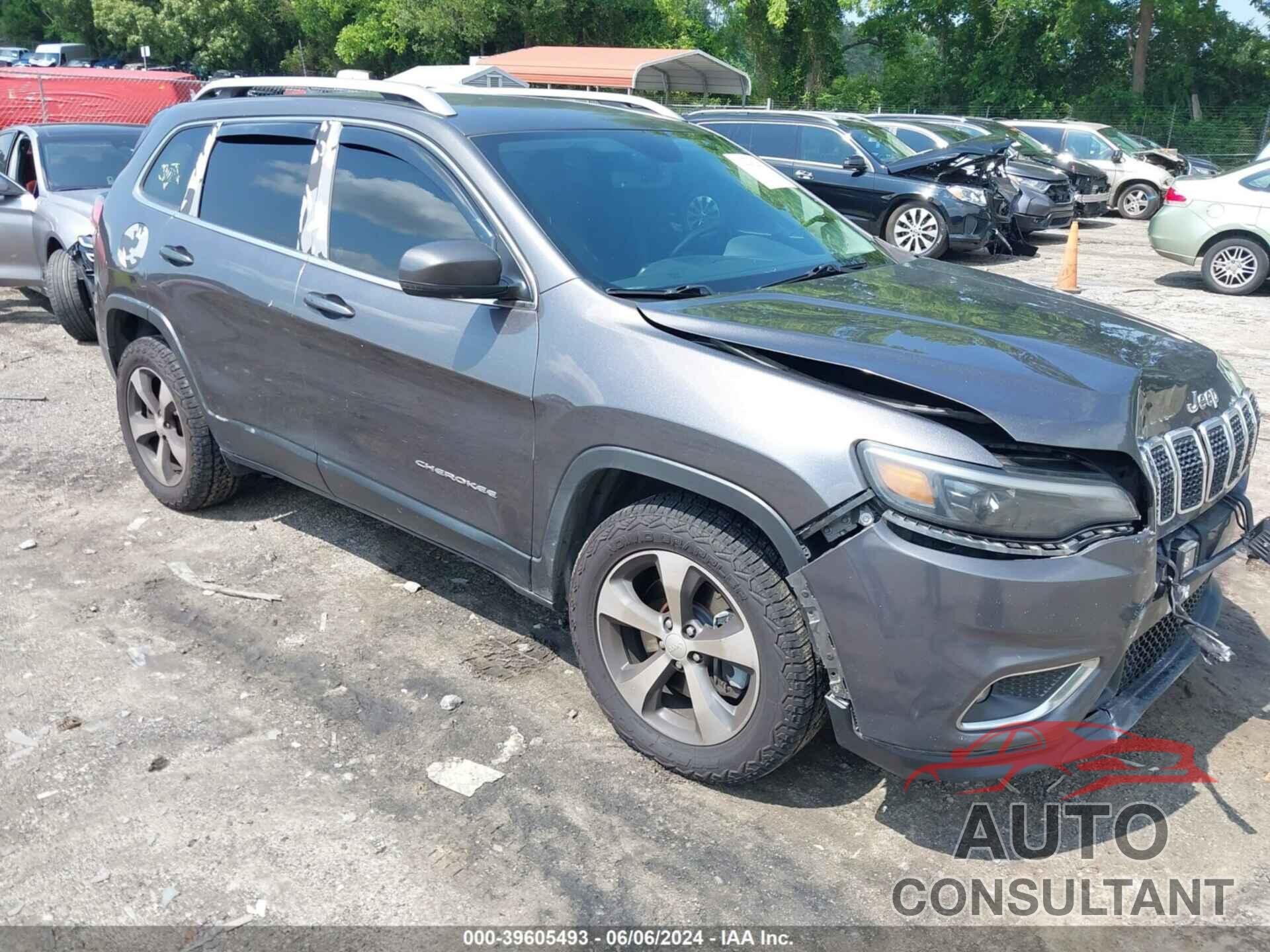 JEEP CHEROKEE 2019 - 1C4PJMDX1KD197637