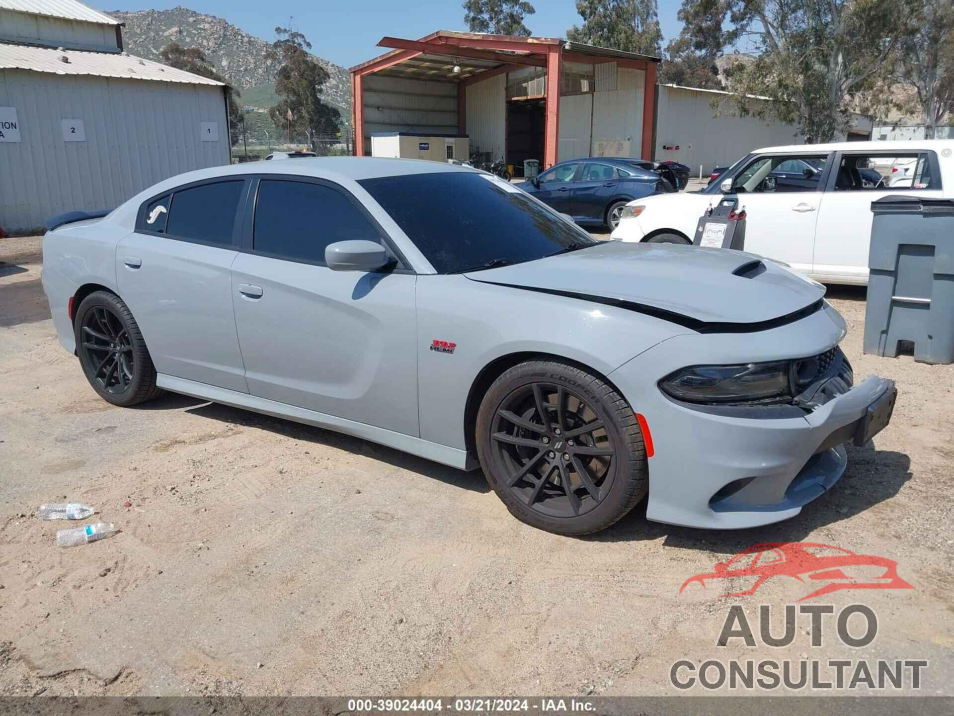 DODGE CHARGER 2021 - 2C3CDXGJ8MH674895