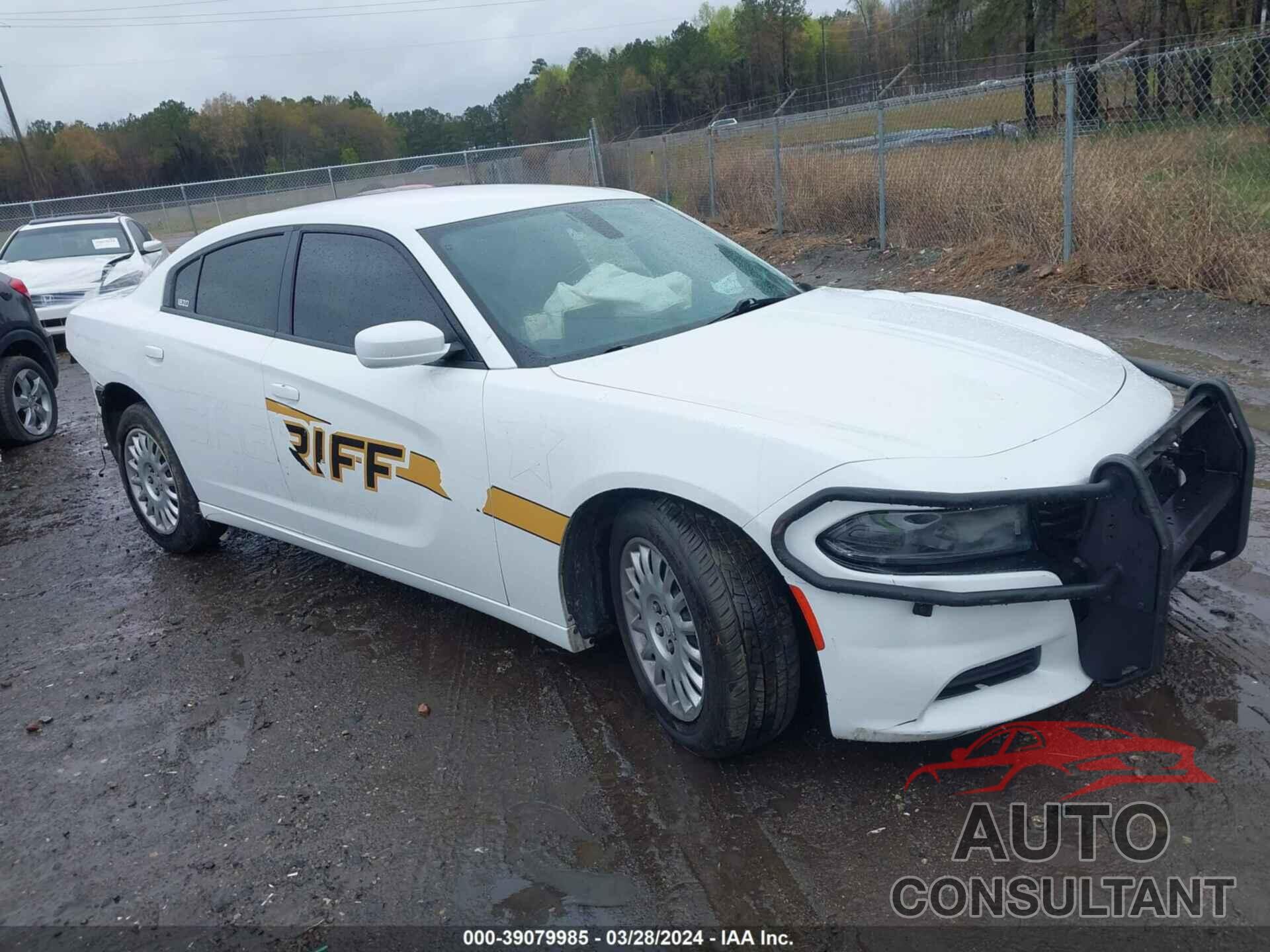 DODGE CHARGER 2019 - 2C3CDXKT7KH617674