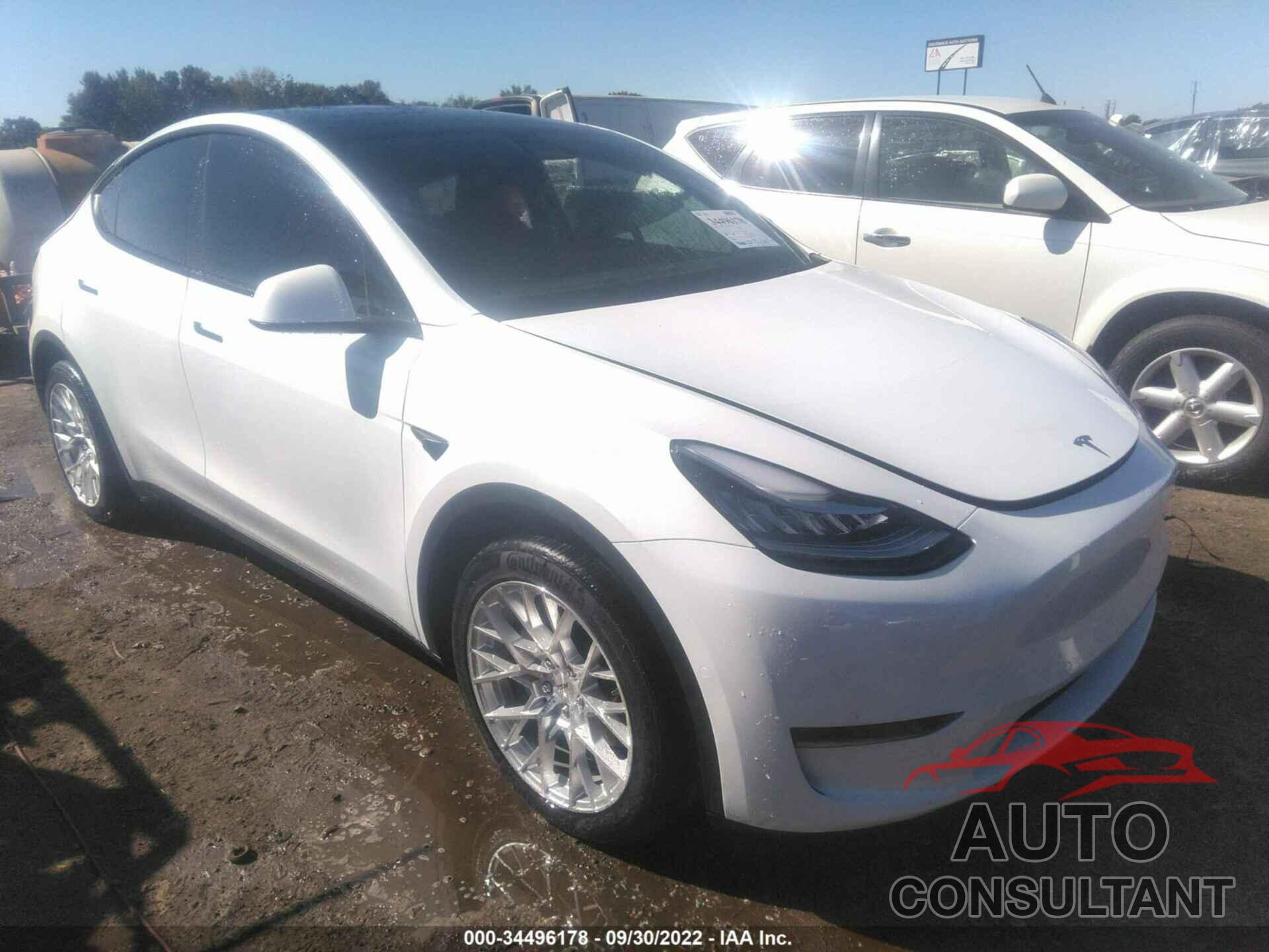 TESLA MODEL Y 2022 - 7SAYGDEE4NF338541