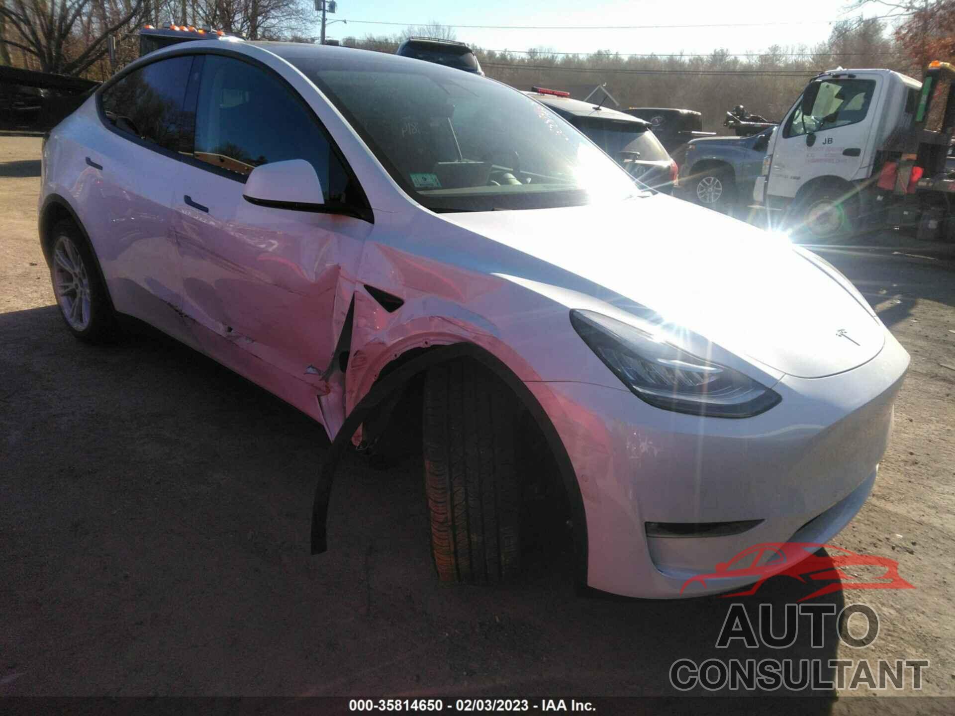 TESLA MODEL Y 2022 - 7SAYGDEE3NF329880