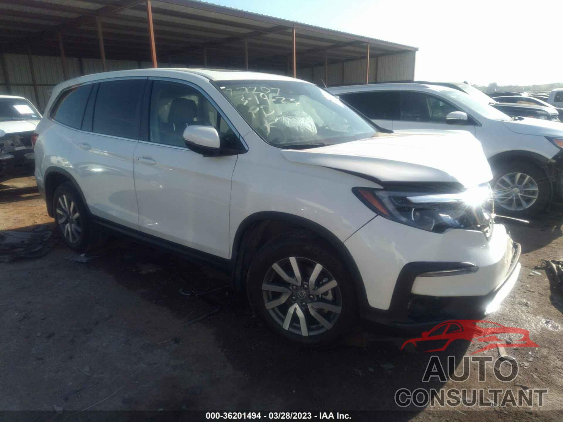 HONDA PILOT 2019 - 5FNYF5H56KB031921