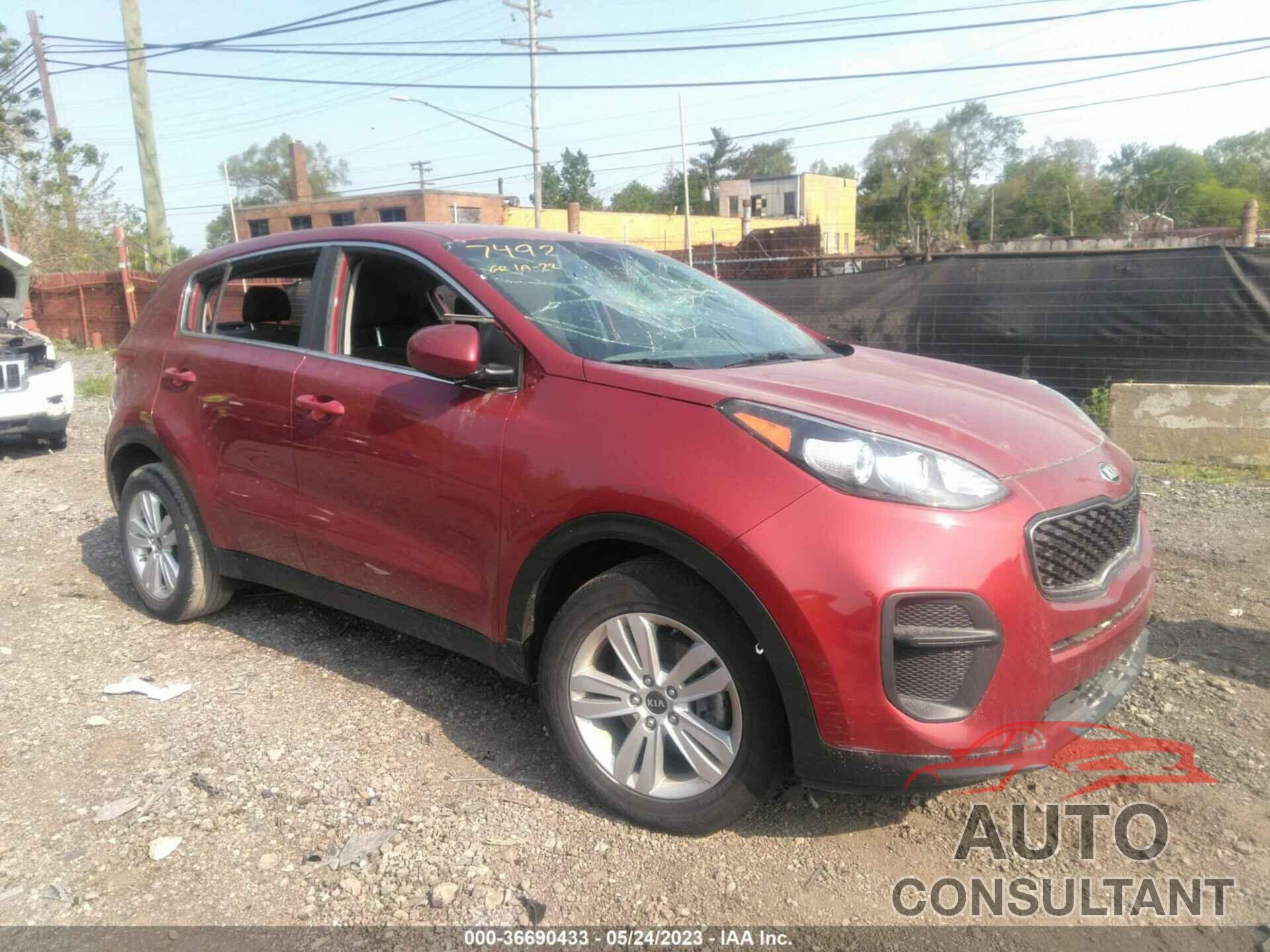KIA SPORTAGE 2019 - KNDPM3AC2K7537492