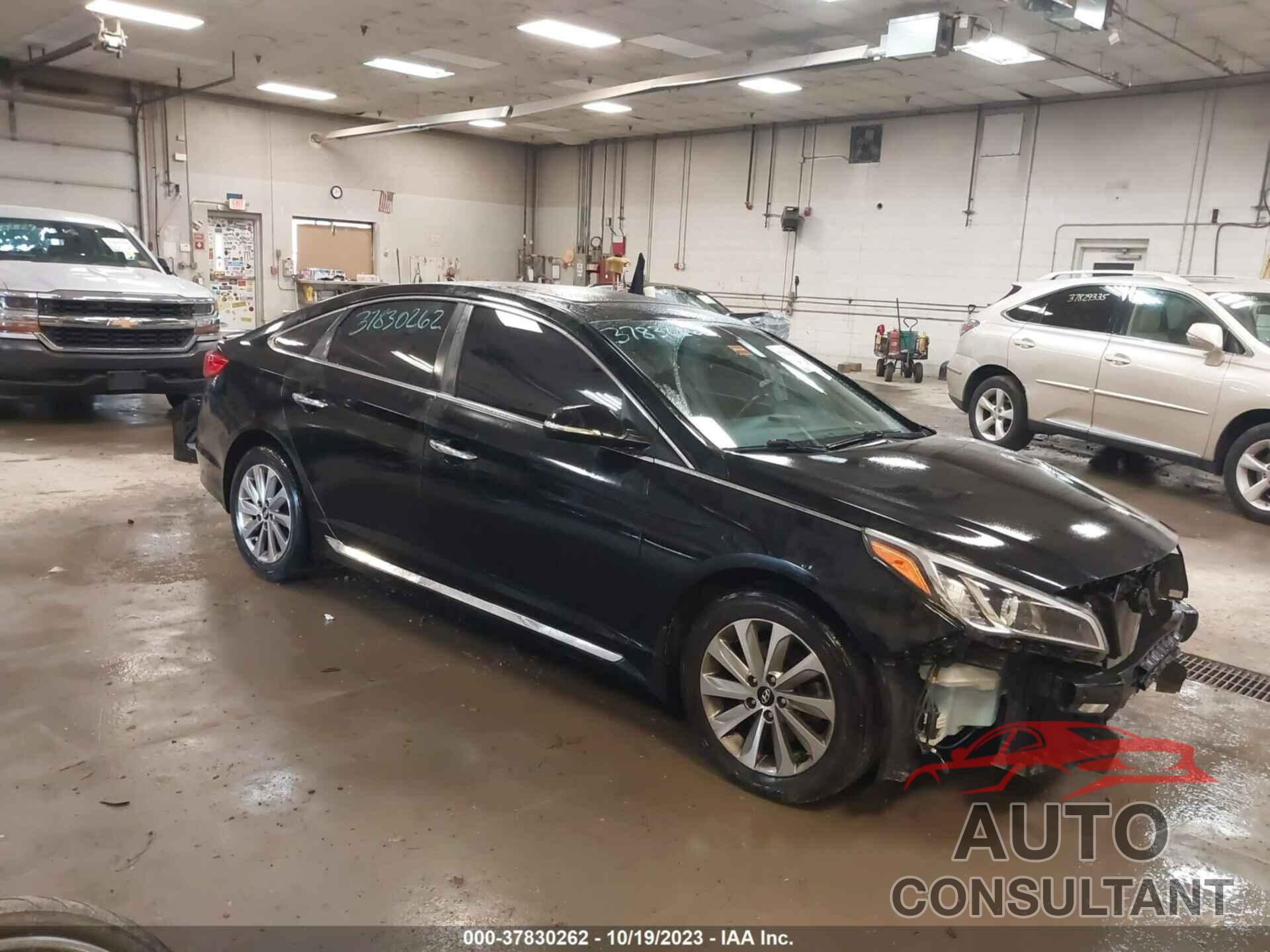 HYUNDAI SONATA 2016 - 5NPE34AF0GH382194