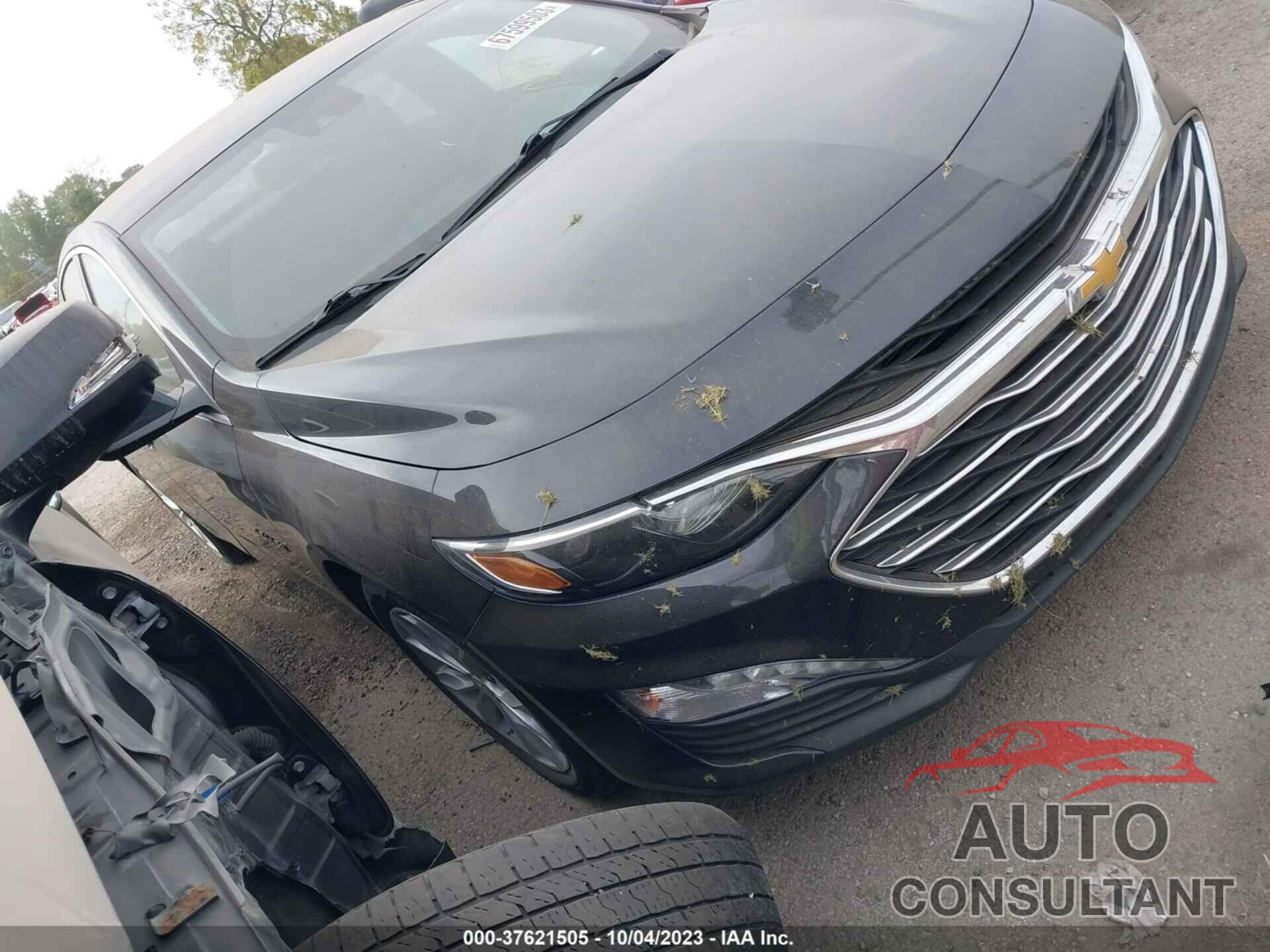 CHEVROLET MALIBU 2023 - 1G1ZD5ST8PF116904