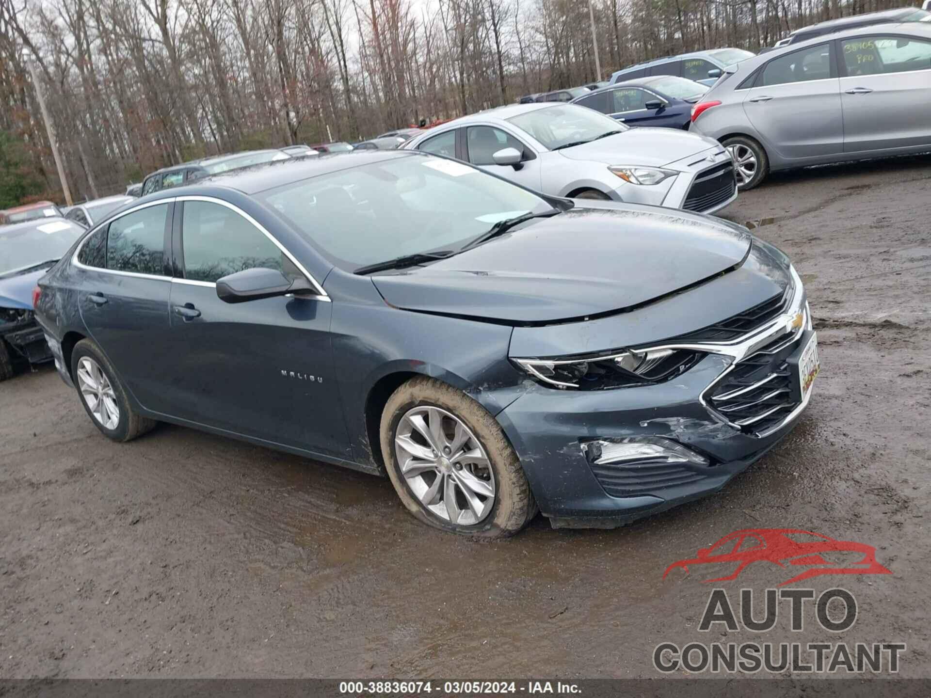 CHEVROLET MALIBU 2019 - 1G1ZD5ST4KF131554