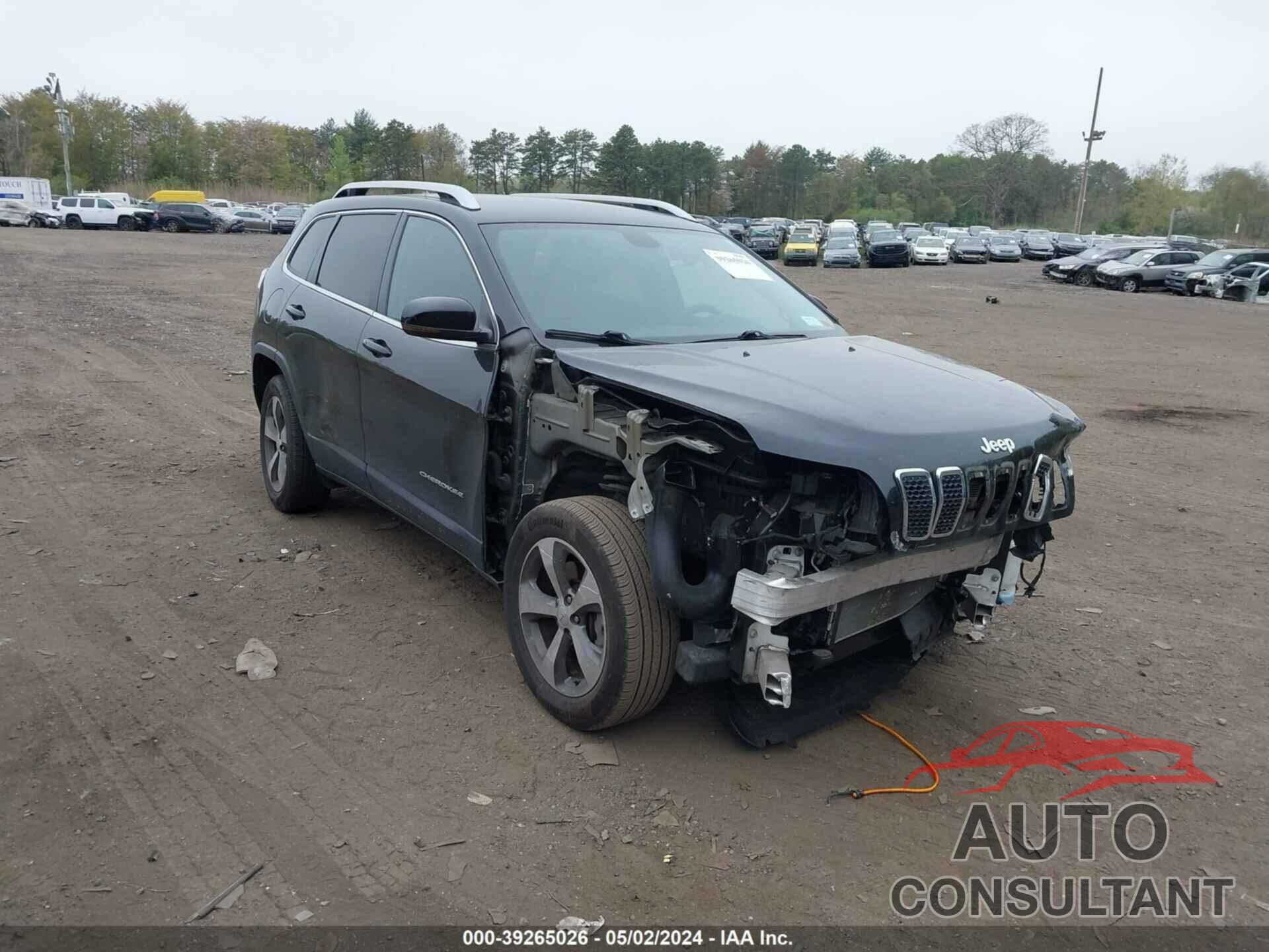 JEEP CHEROKEE 2019 - 1C4PJMDX0KD447546