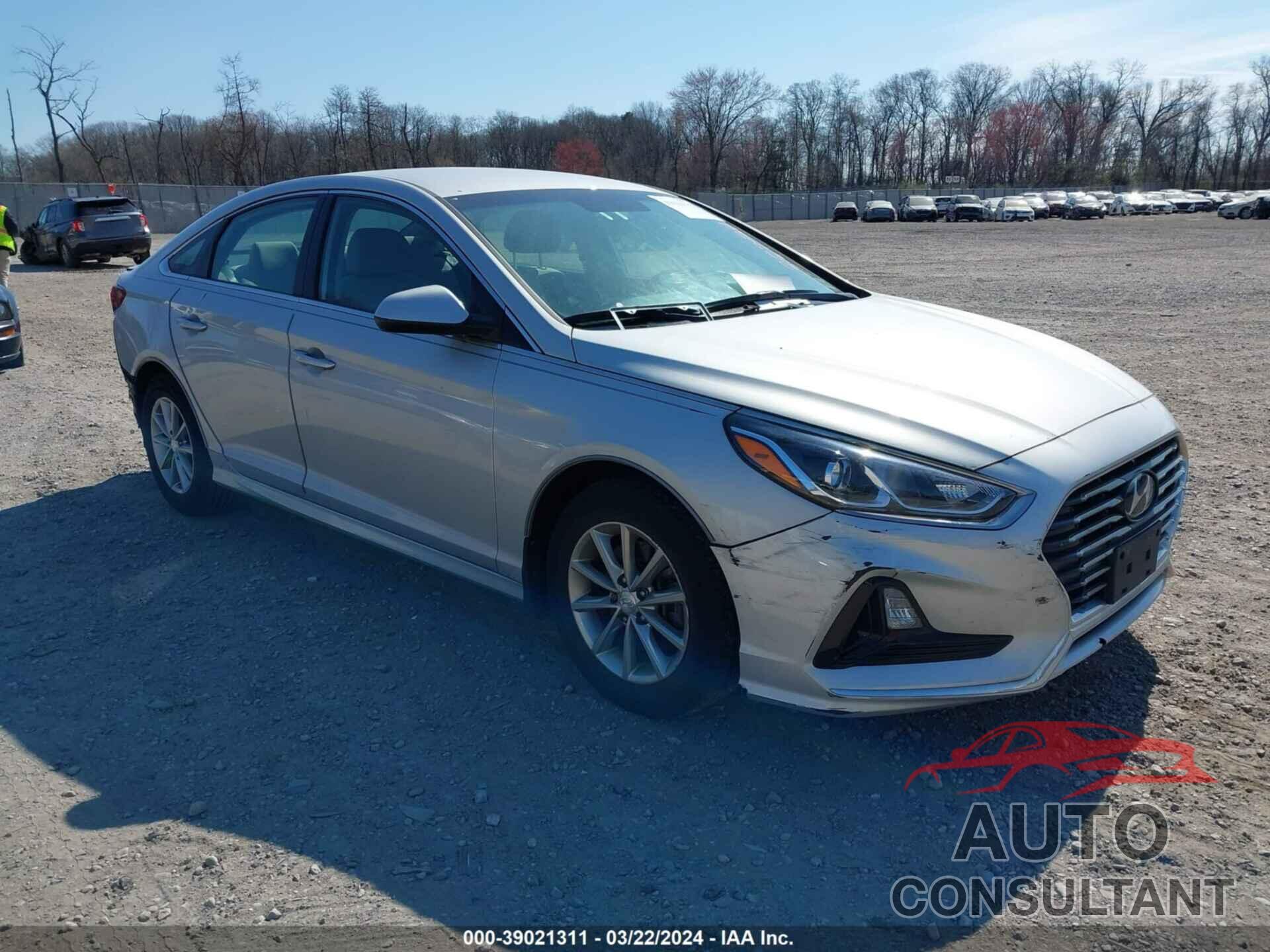 HYUNDAI SONATA 2019 - 5NPE24AF2KH817308