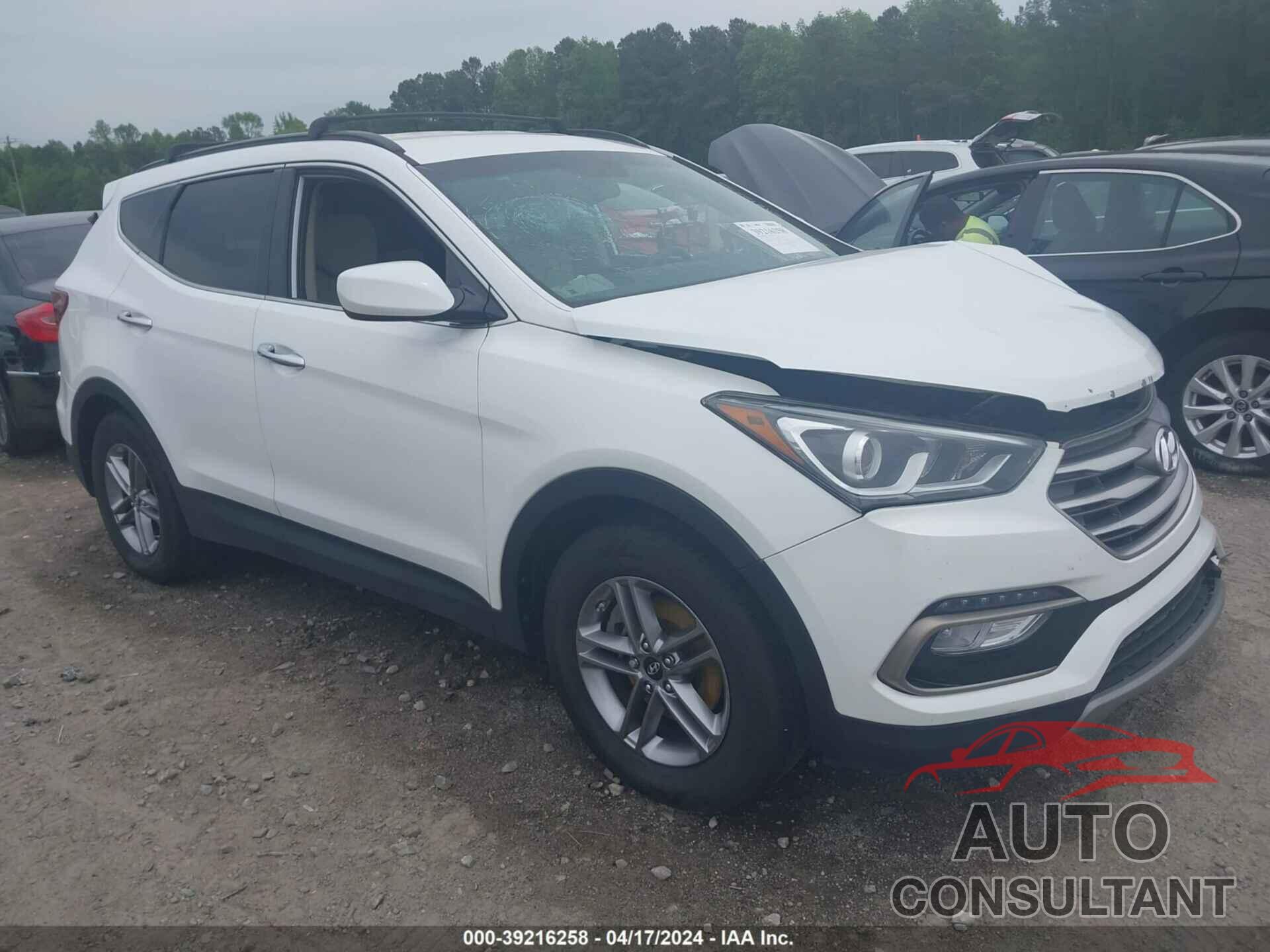 HYUNDAI SANTA FE SPORT 2017 - 5NMZUDLB1HH009799