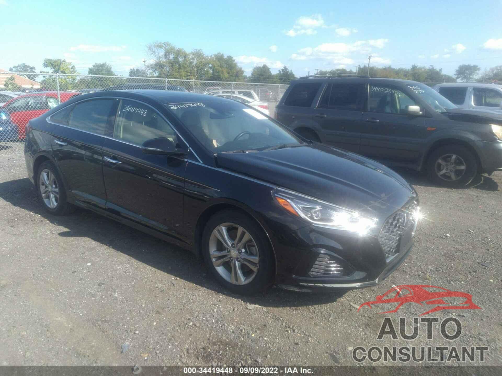 HYUNDAI SONATA 2019 - 5NPE34AF2KH726584