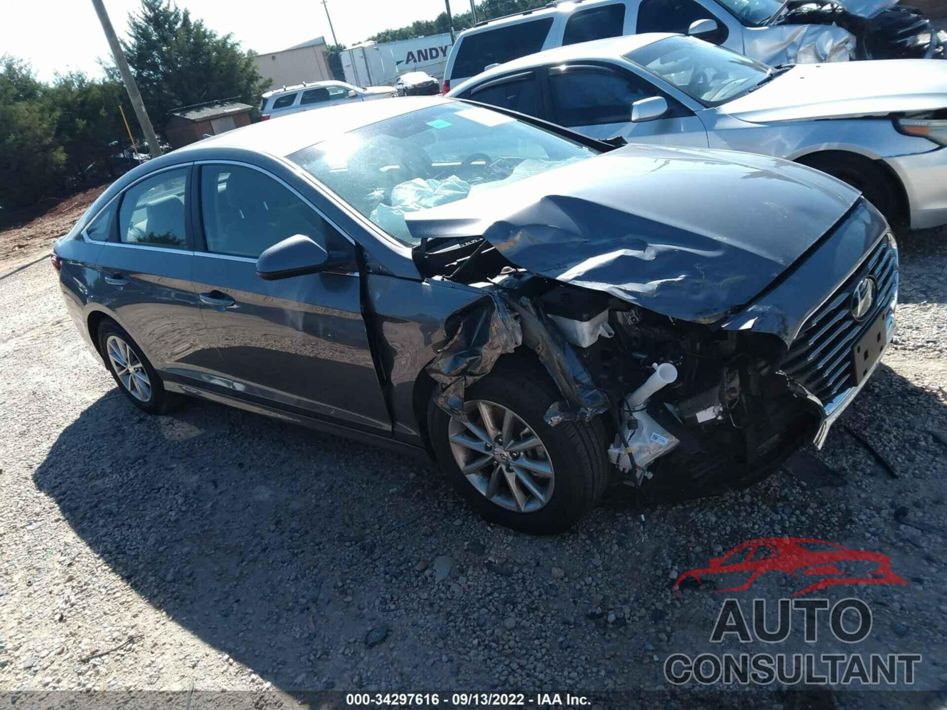 HYUNDAI SONATA 2019 - 5NPE24AF2KH768627