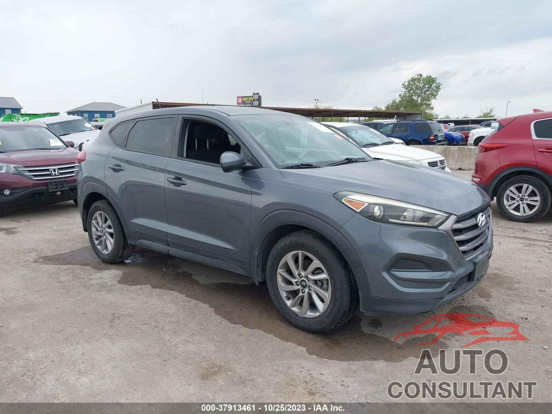 HYUNDAI TUCSON 2016 - KM8J23A46GU124256