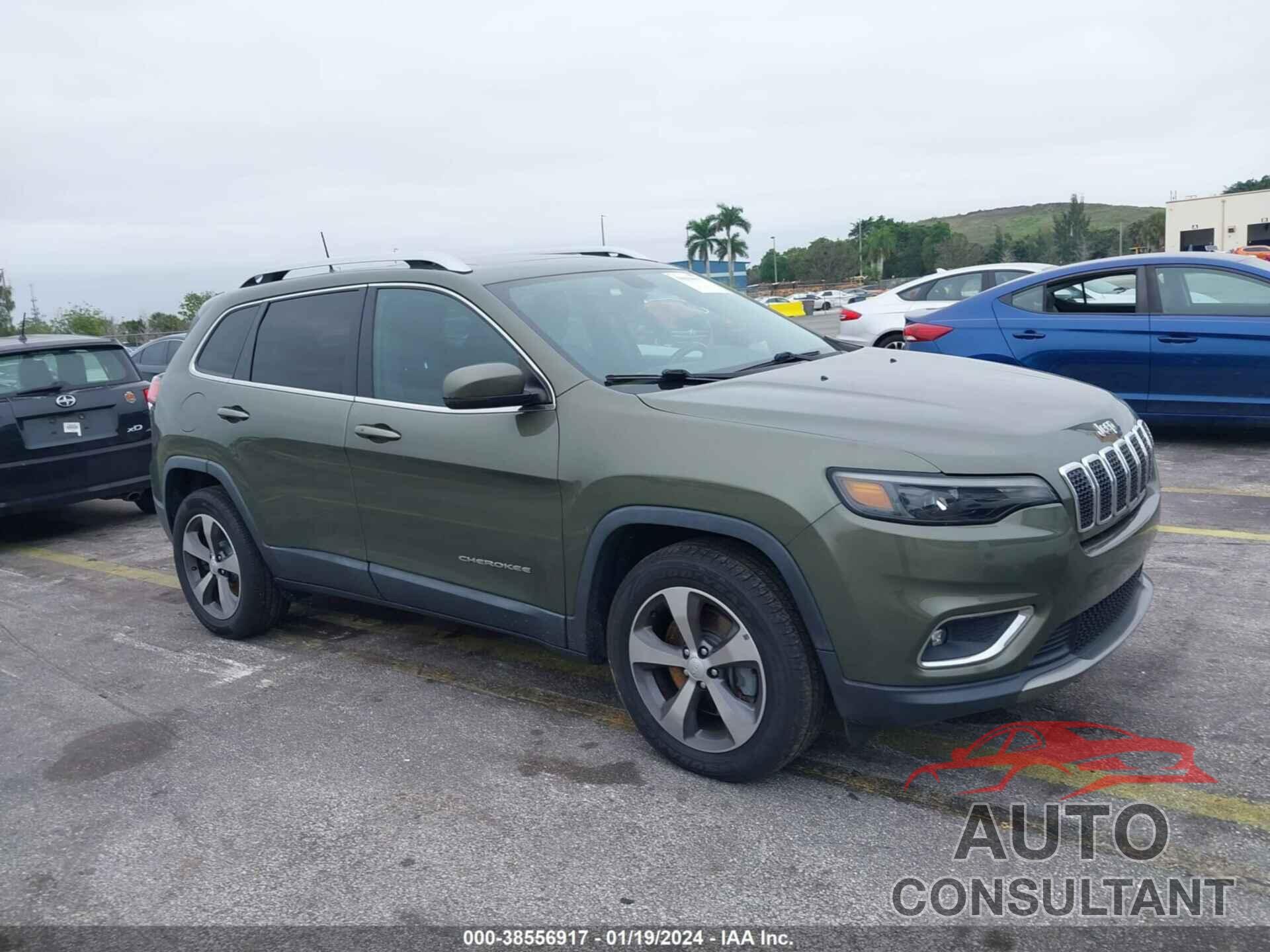 JEEP CHEROKEE 2019 - 1C4PJMDN0KD299462