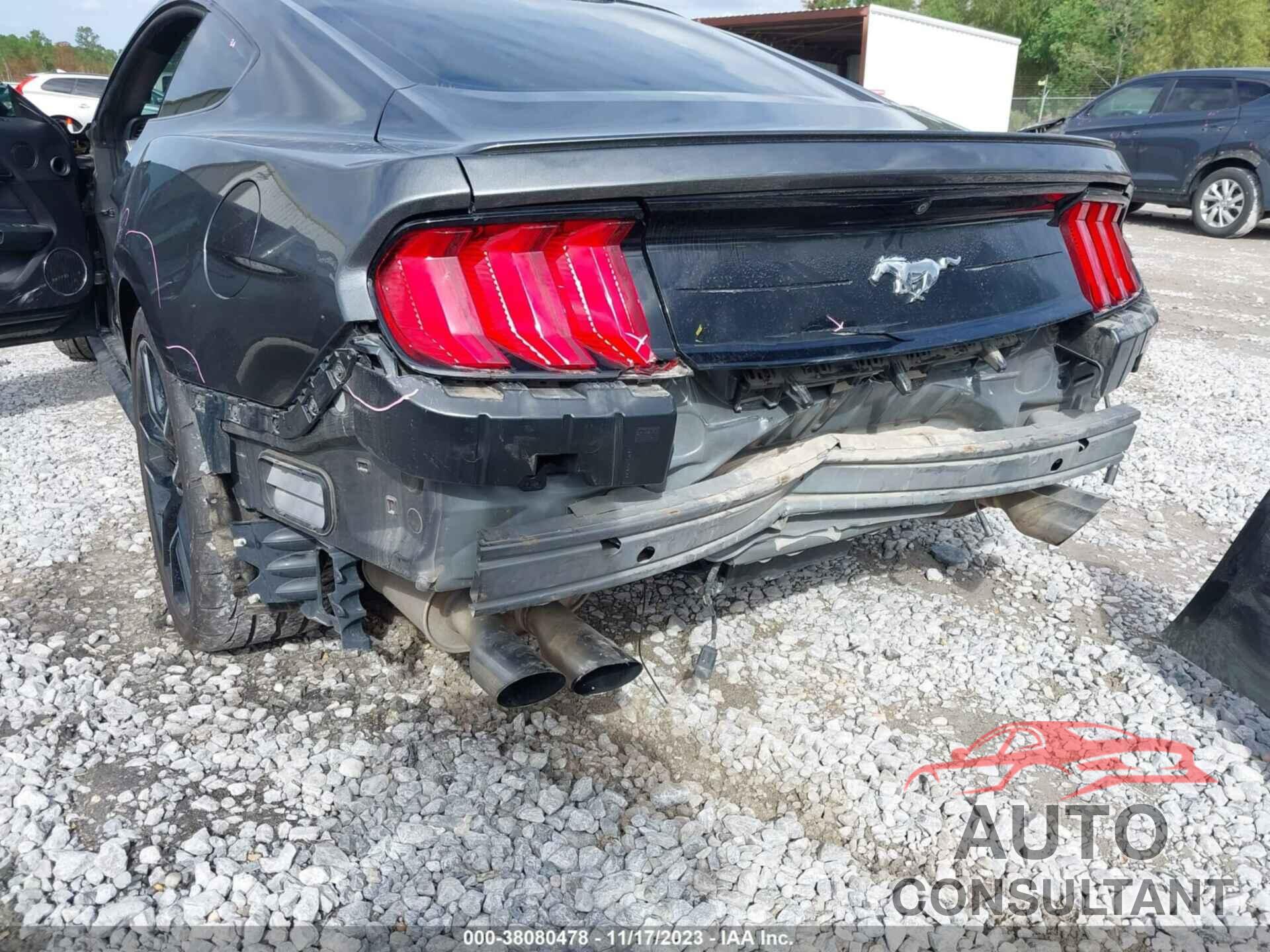 FORD MUSTANG 2019 - 1FA6P8TH0K5163510