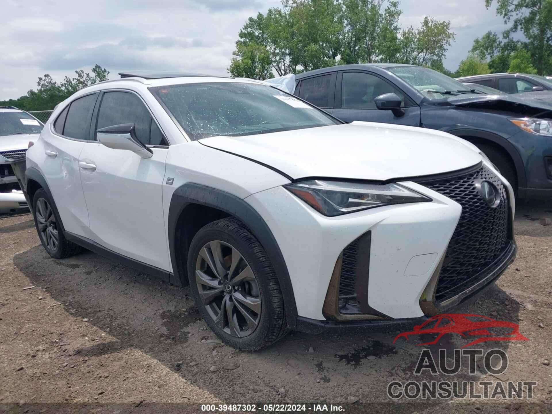 LEXUS UX 200 2019 - JTHY3JBH5K2006448