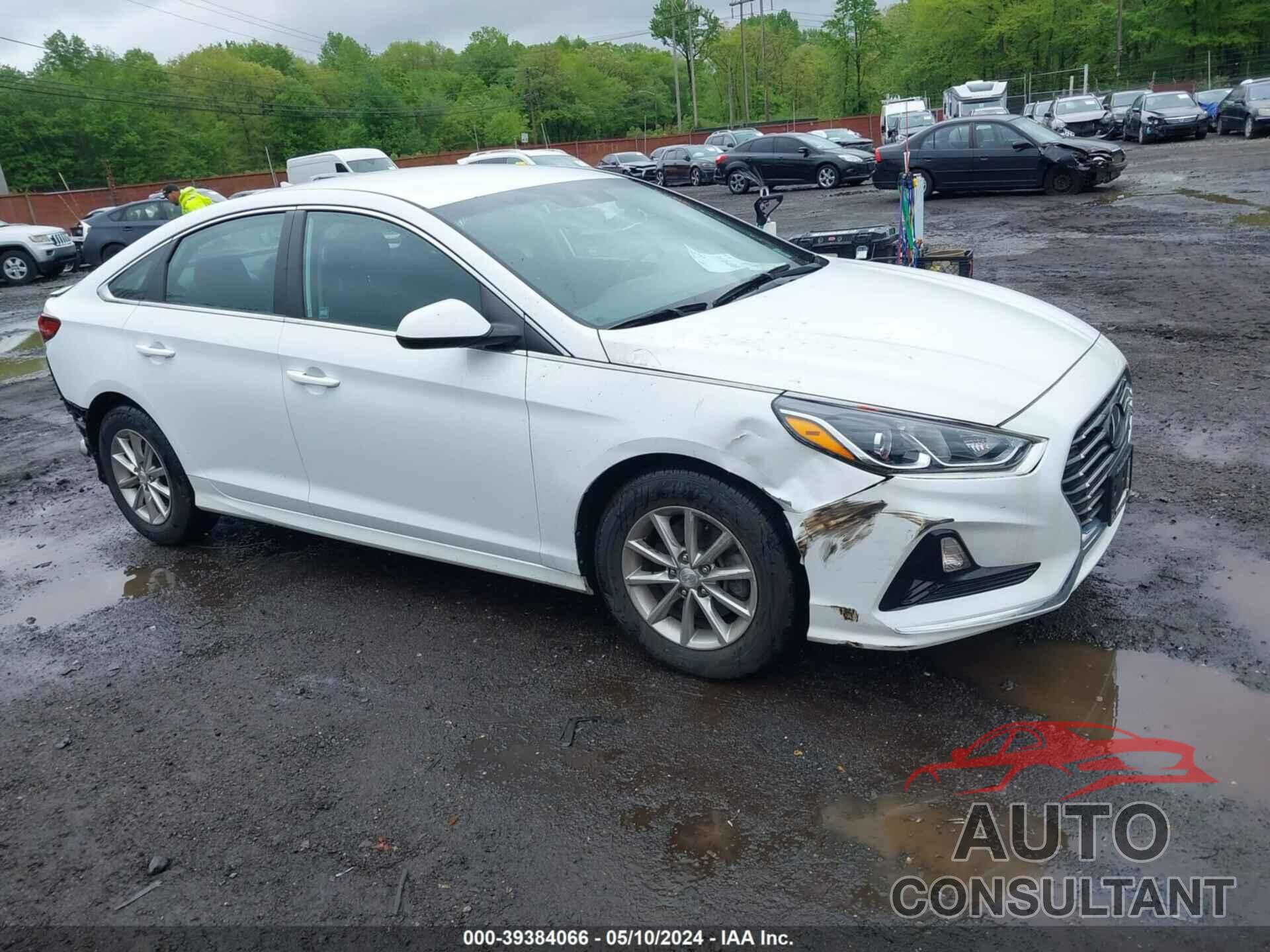 HYUNDAI SONATA 2019 - 5NPE24AF3KH752744