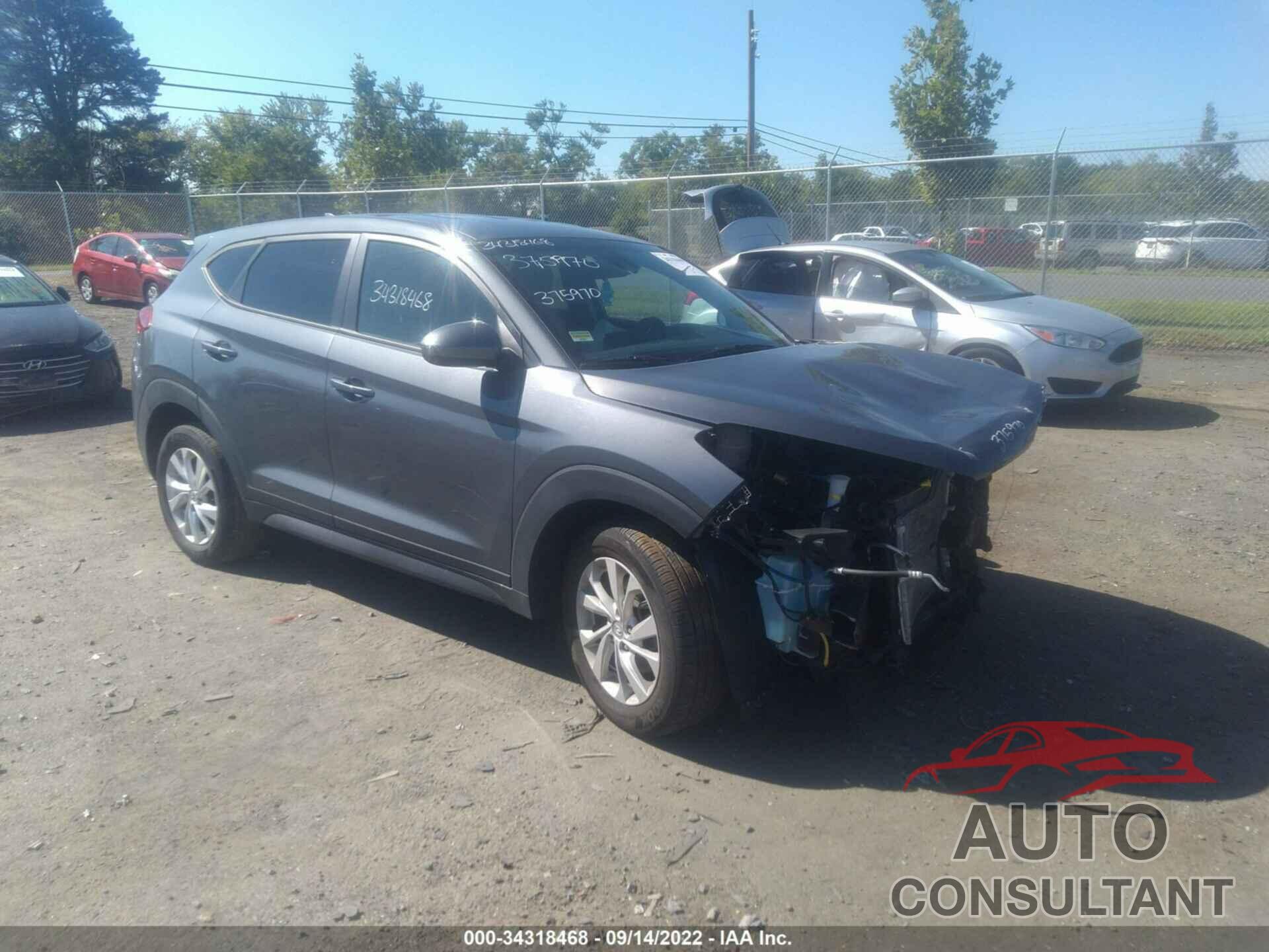 HYUNDAI TUCSON 2019 - KM8J23A44KU888583