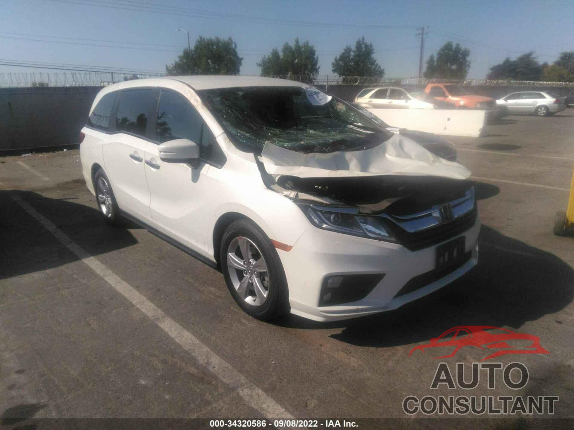 HONDA ODYSSEY 2019 - 5FNRL6H55KB084984