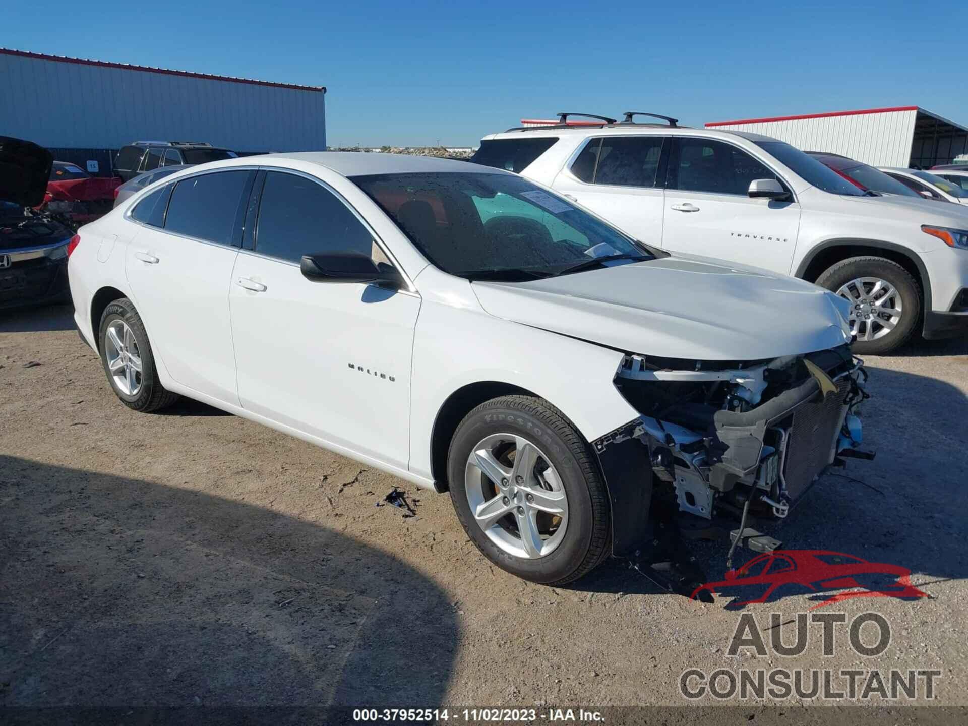 CHEVROLET MALIBU 2021 - 1G1ZB5ST7MF041226