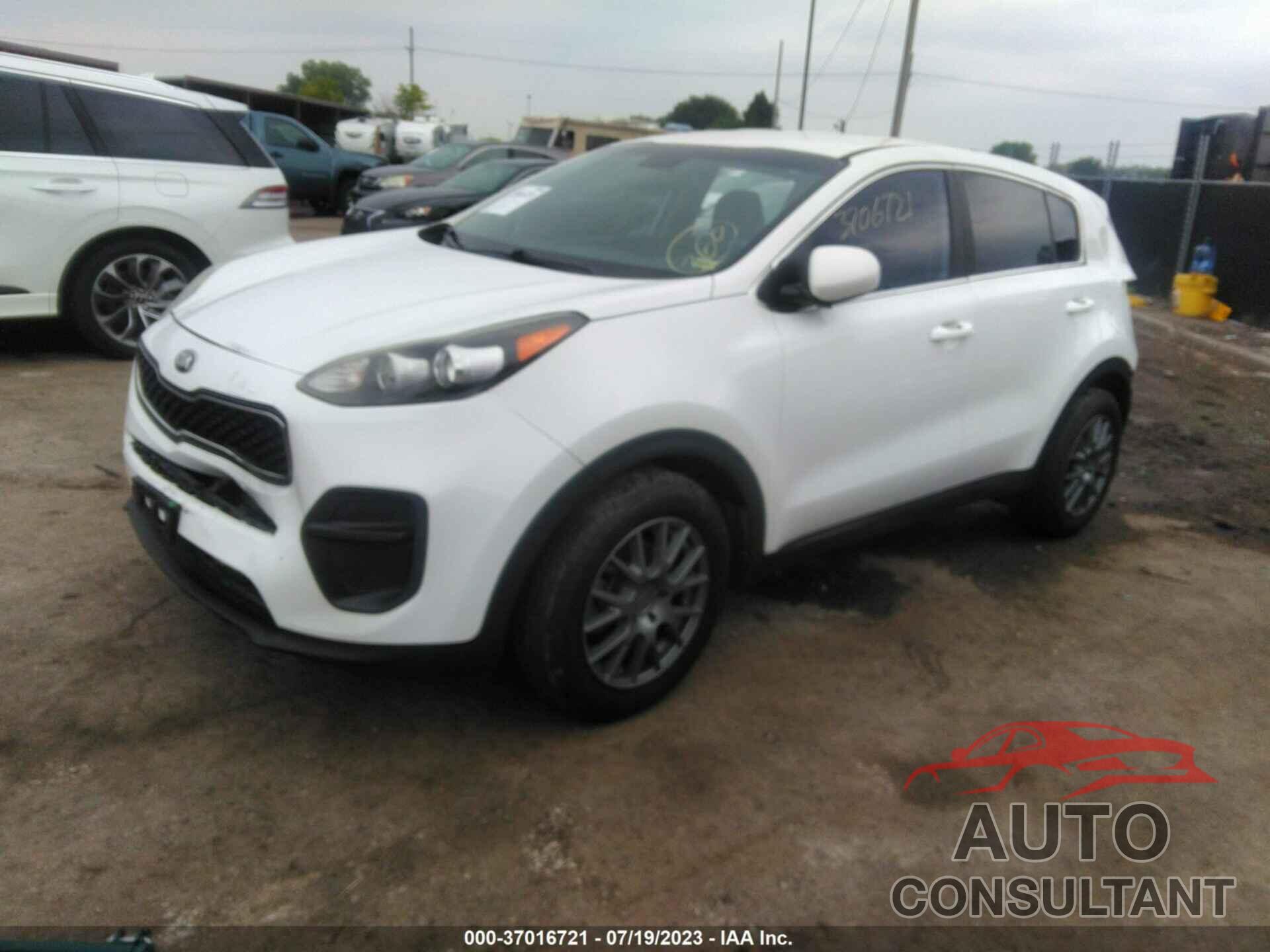 KIA SPORTAGE 2017 - KNDPM3AC4H7076871