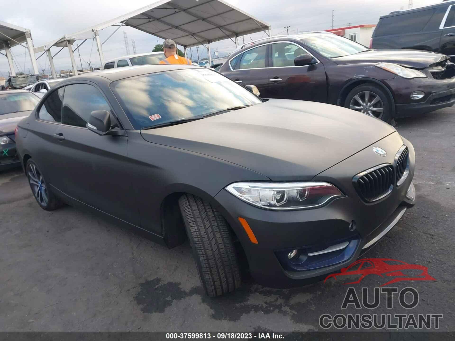 BMW 230I 2017 - WBA2F9C32HV665043