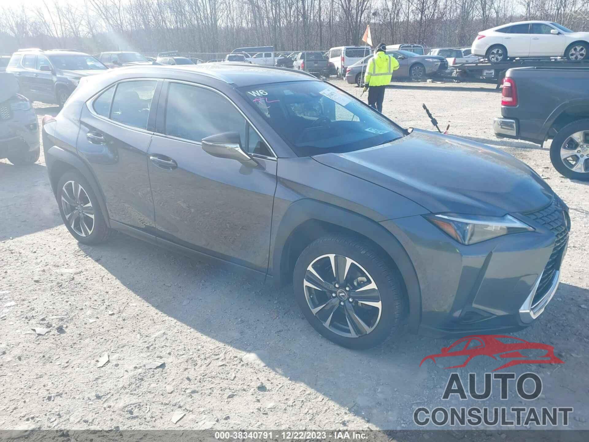 LEXUS UX 250H 2023 - JTHX9JBHXP2065920