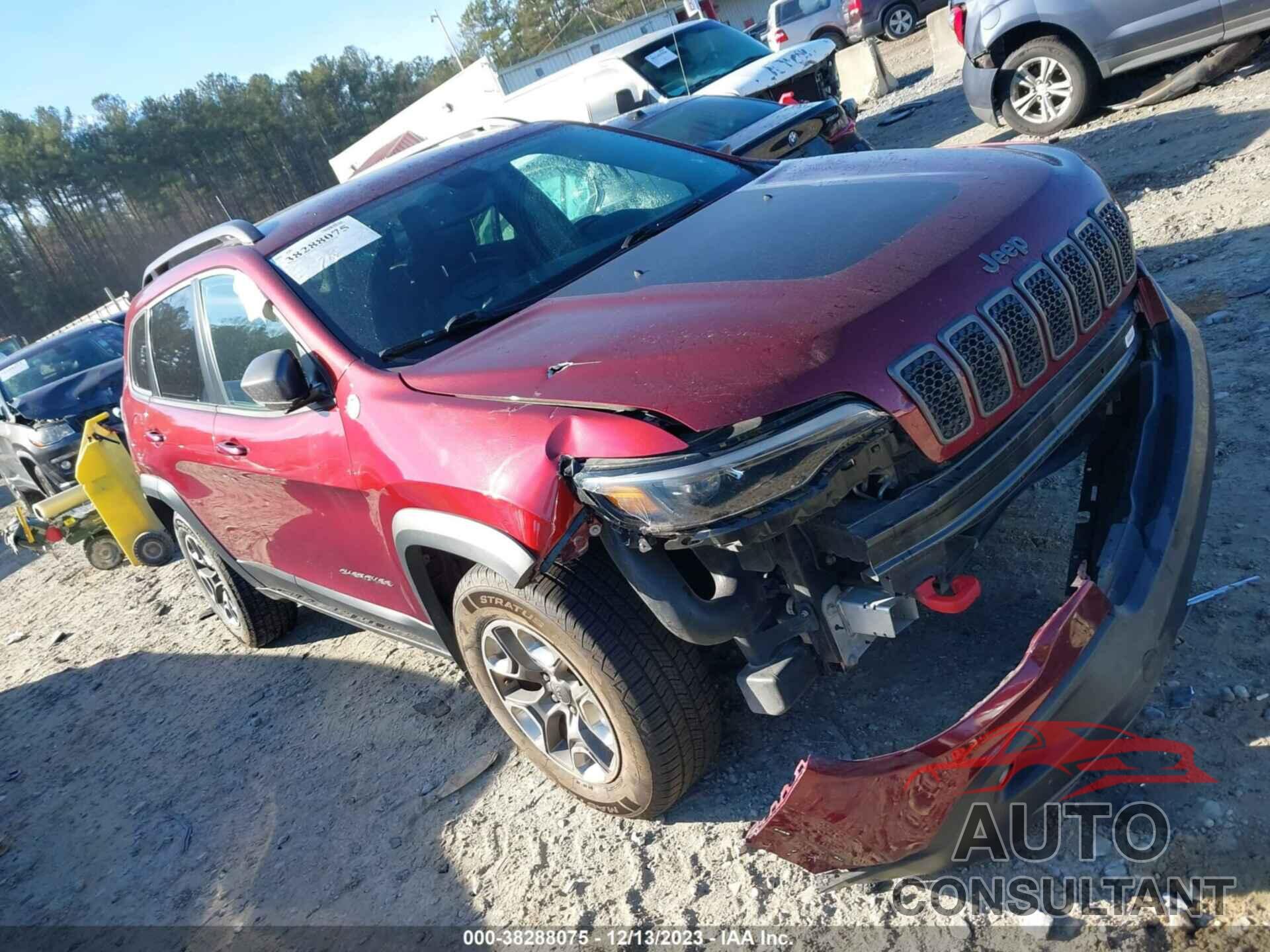 JEEP CHEROKEE 2019 - 1C4PJMBX5KD473062