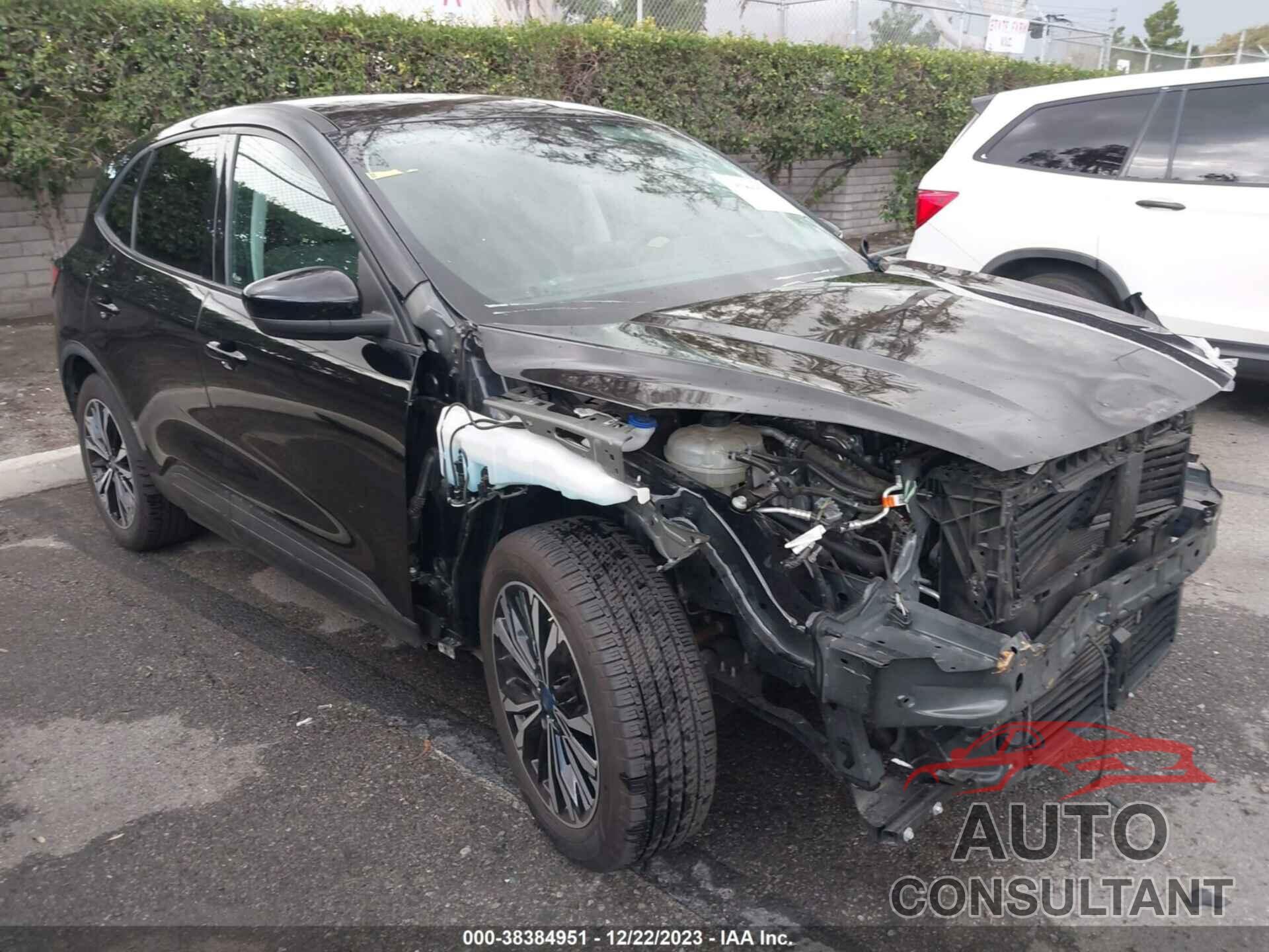 FORD ESCAPE 2021 - 1FMCU0G66MUB22397