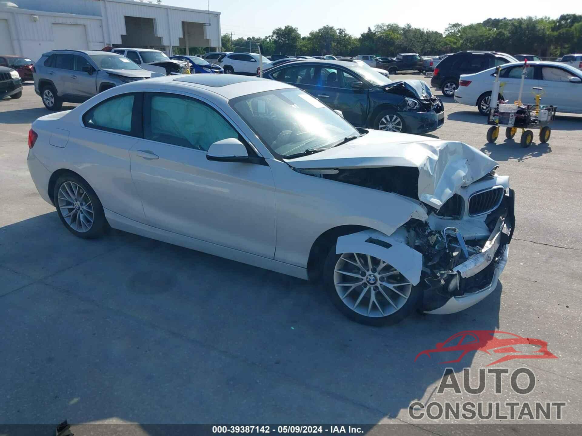 BMW 228I 2016 - WBA1F9C53GV544369