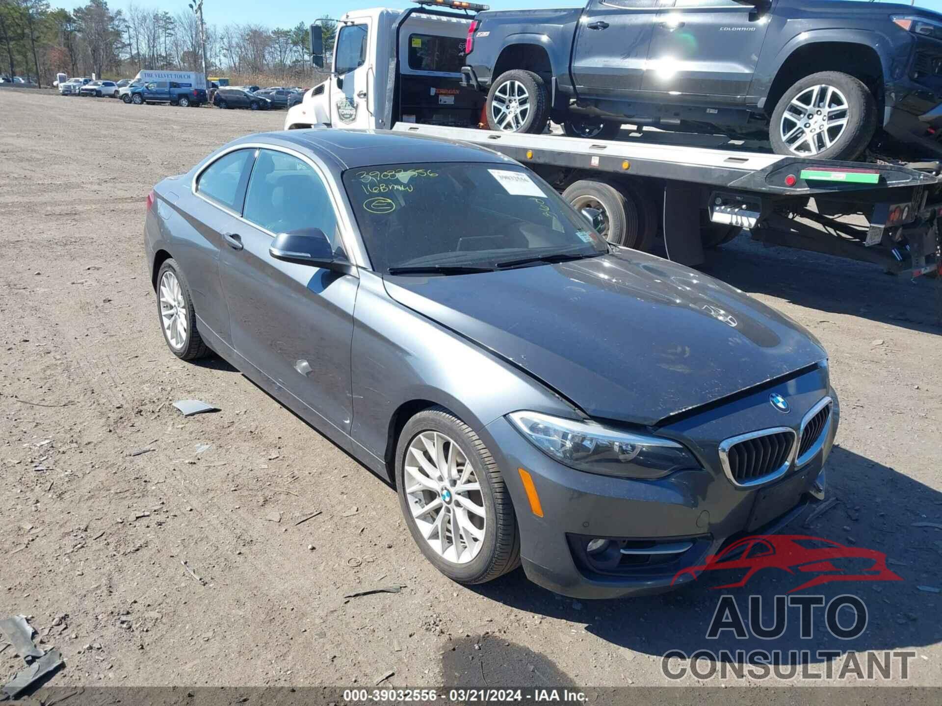 BMW 228I 2016 - WBA1F9C5XGV546457