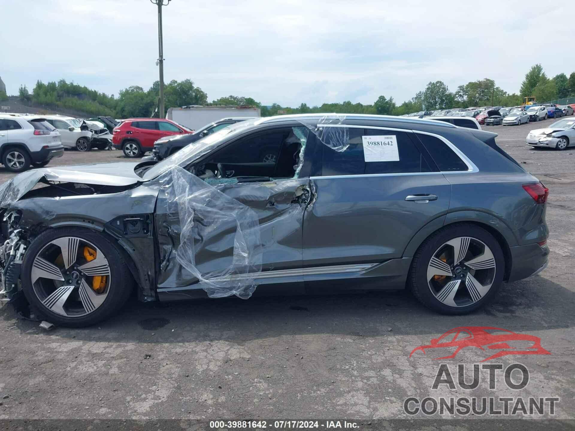 AUDI E-TRON 2019 - WA1VAAGE6KB006428